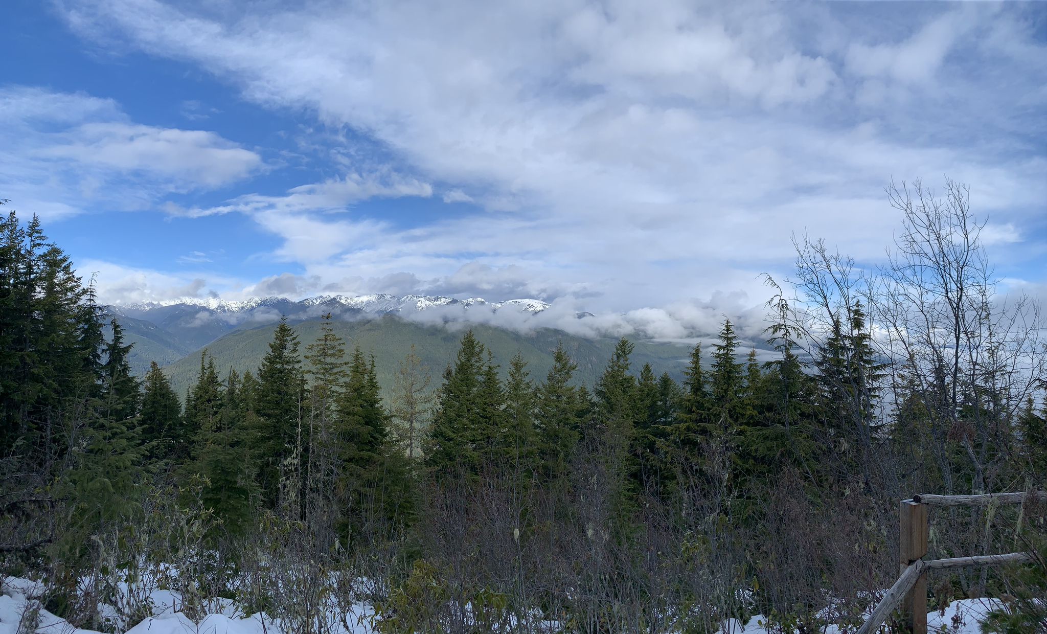 Snowy forest foreground with distant cloud-covered mountains under blue sky. - Bee Mill Road to Mt. Walker