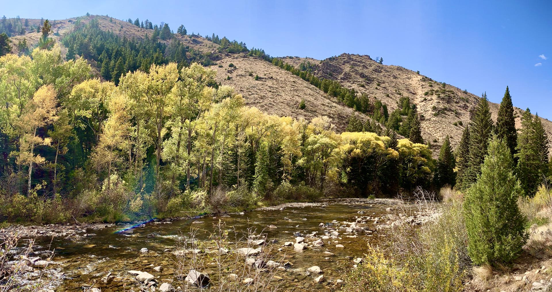 A rocky river flows through a mountain valley with autumn trees under a clear sky.