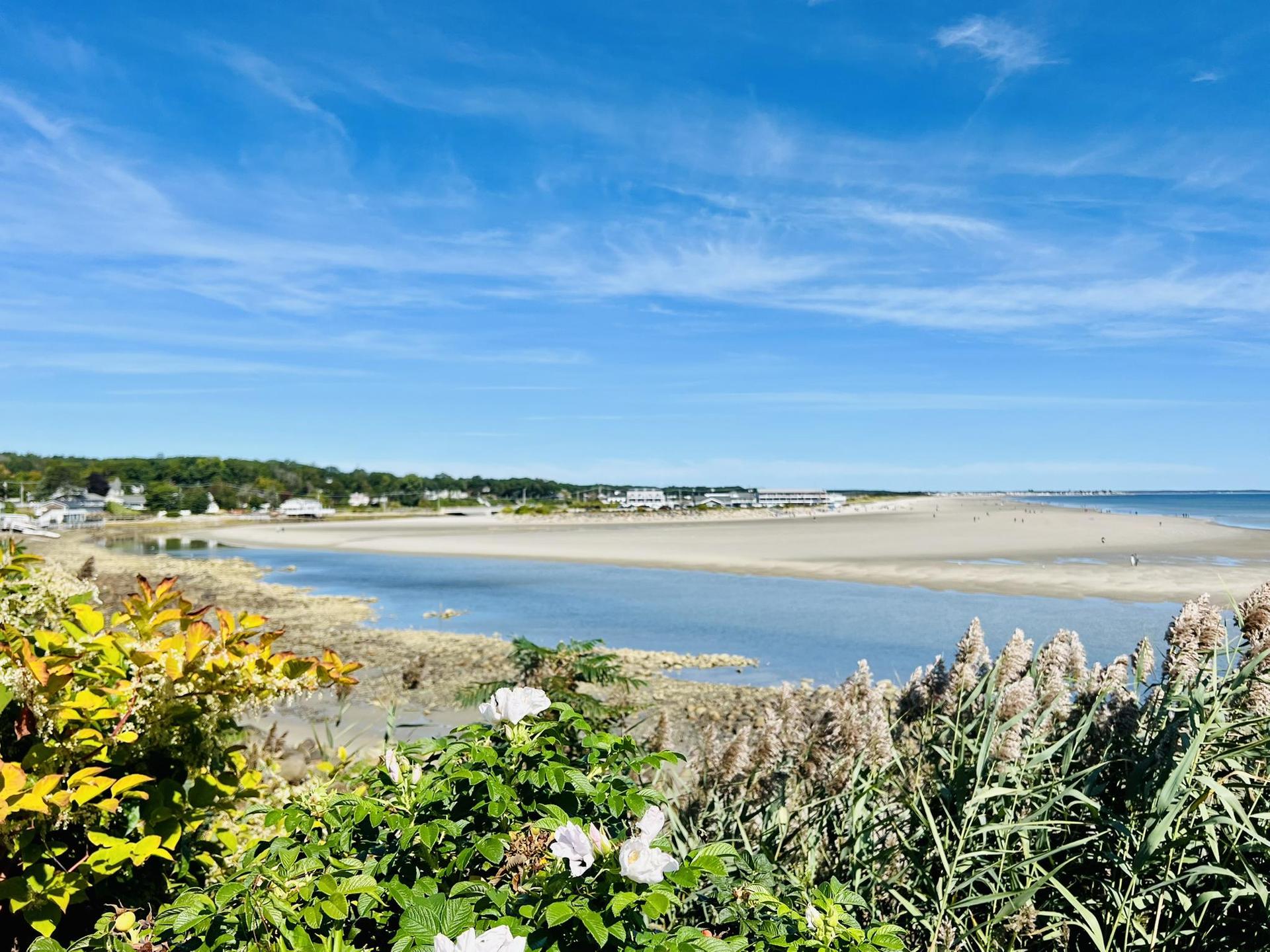 Sunny day over a wide sandy beach, calm water, and green coastal plants.