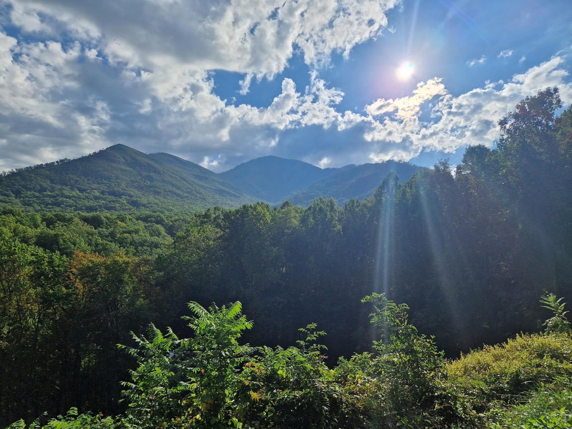 Sun shines brightly over a vast green mountain range and dense forest.