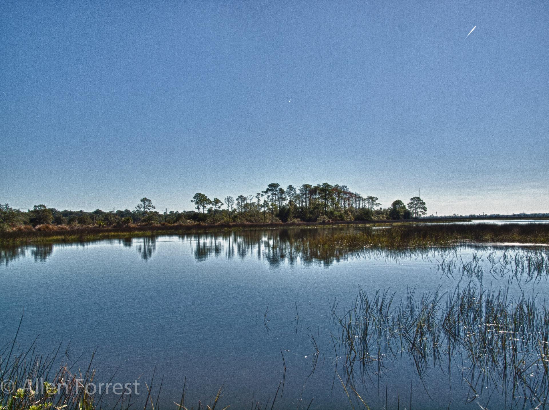 Calm water reflects distant pine trees under a clear, bright blue sky.