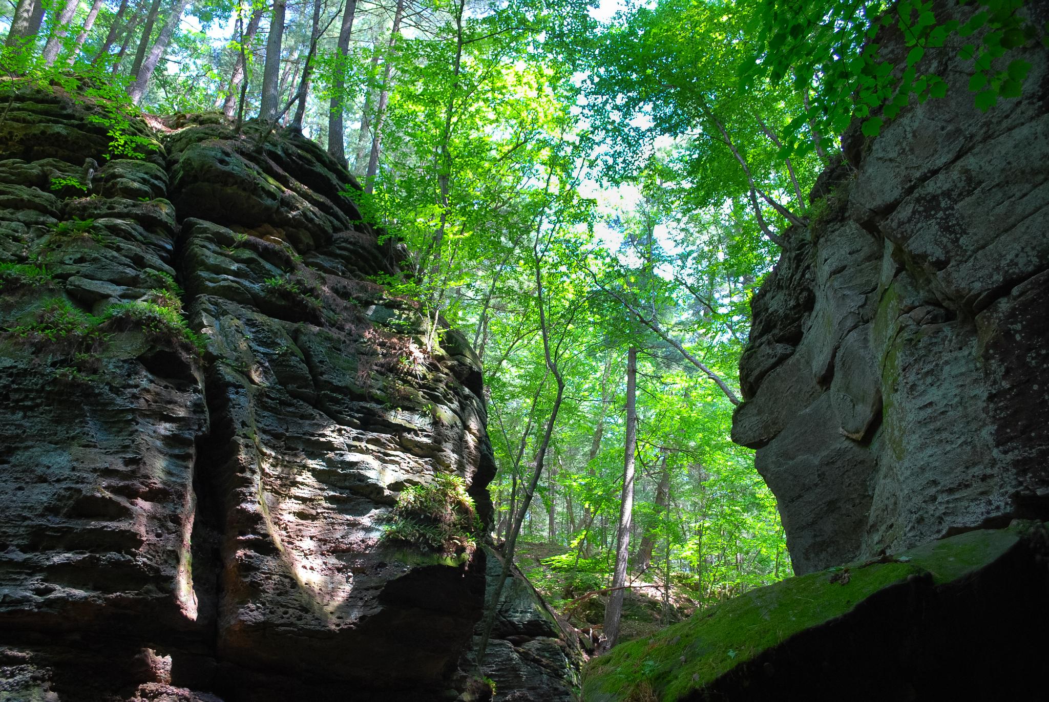 Sunlight illuminates a narrow, mossy rock gorge with tall green trees overhead.