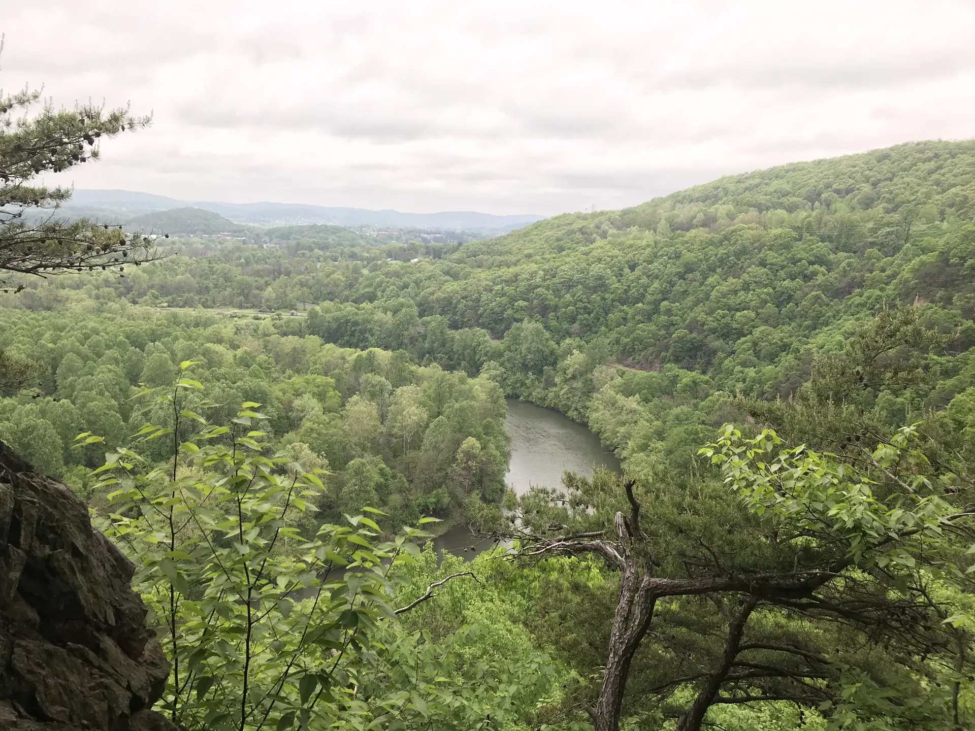 Overcast view of a winding river through a lush green, forested valley.