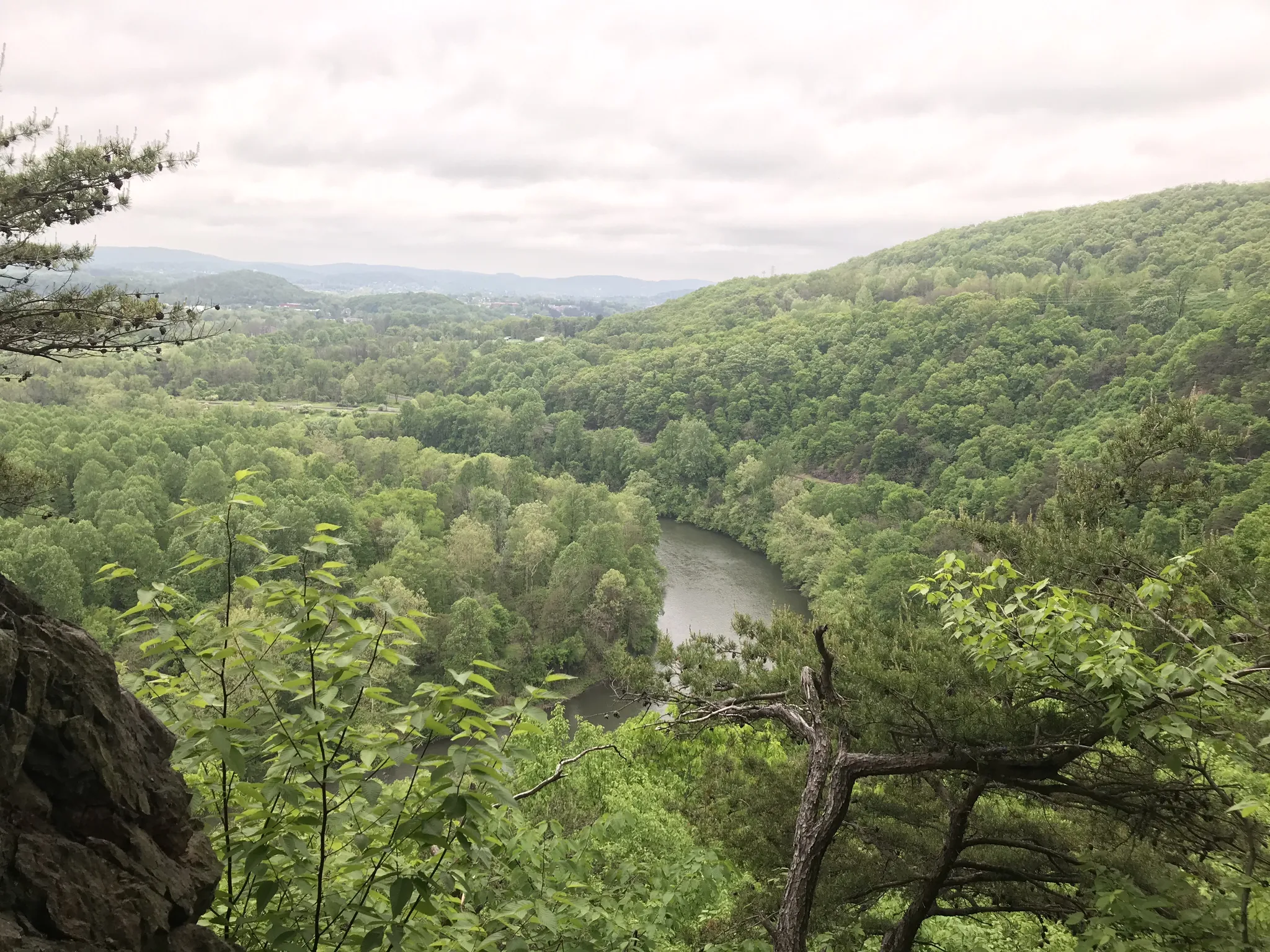 Overcast view of a winding river through a lush green, forested valley. - Exeter Scenic River Trail