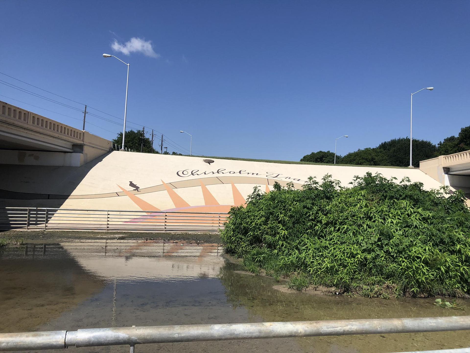 Mural on a concrete bridge wall above murky water and green bushes.