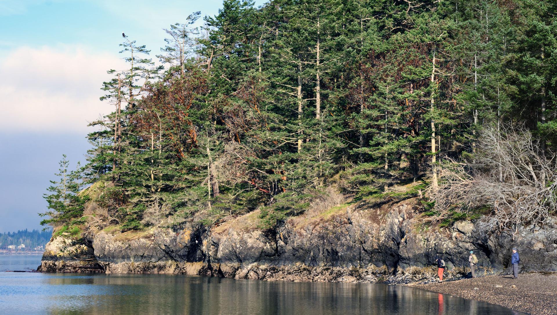 Sunny view of a rocky forested coastline with people on the beach.