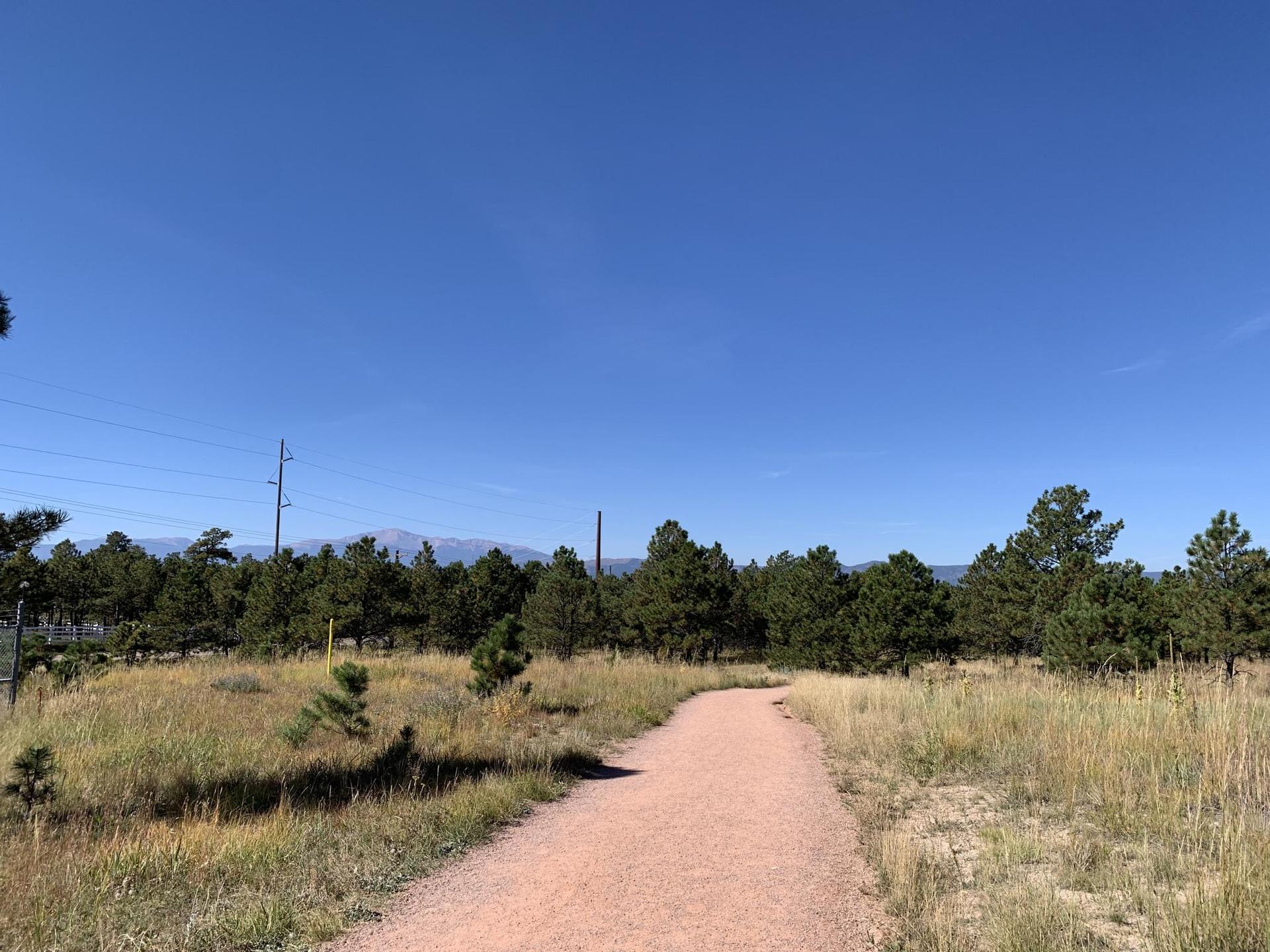 A winding dirt path through sunny grasslands with evergreen trees and distant mountains.