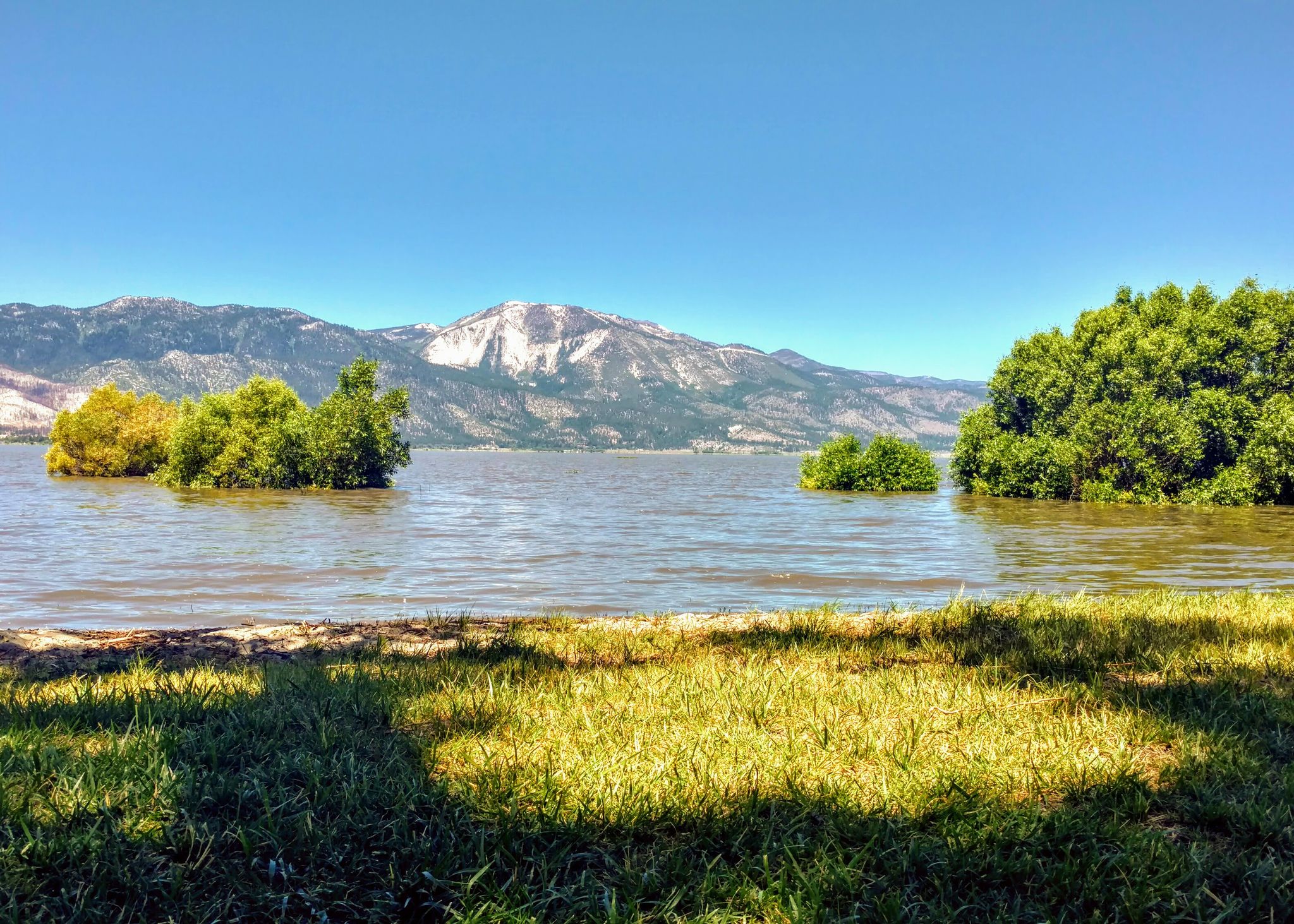 Grassy shore, lake with tree-covered islands, and distant mountains on a sunny day. - Washoe Valley Loop