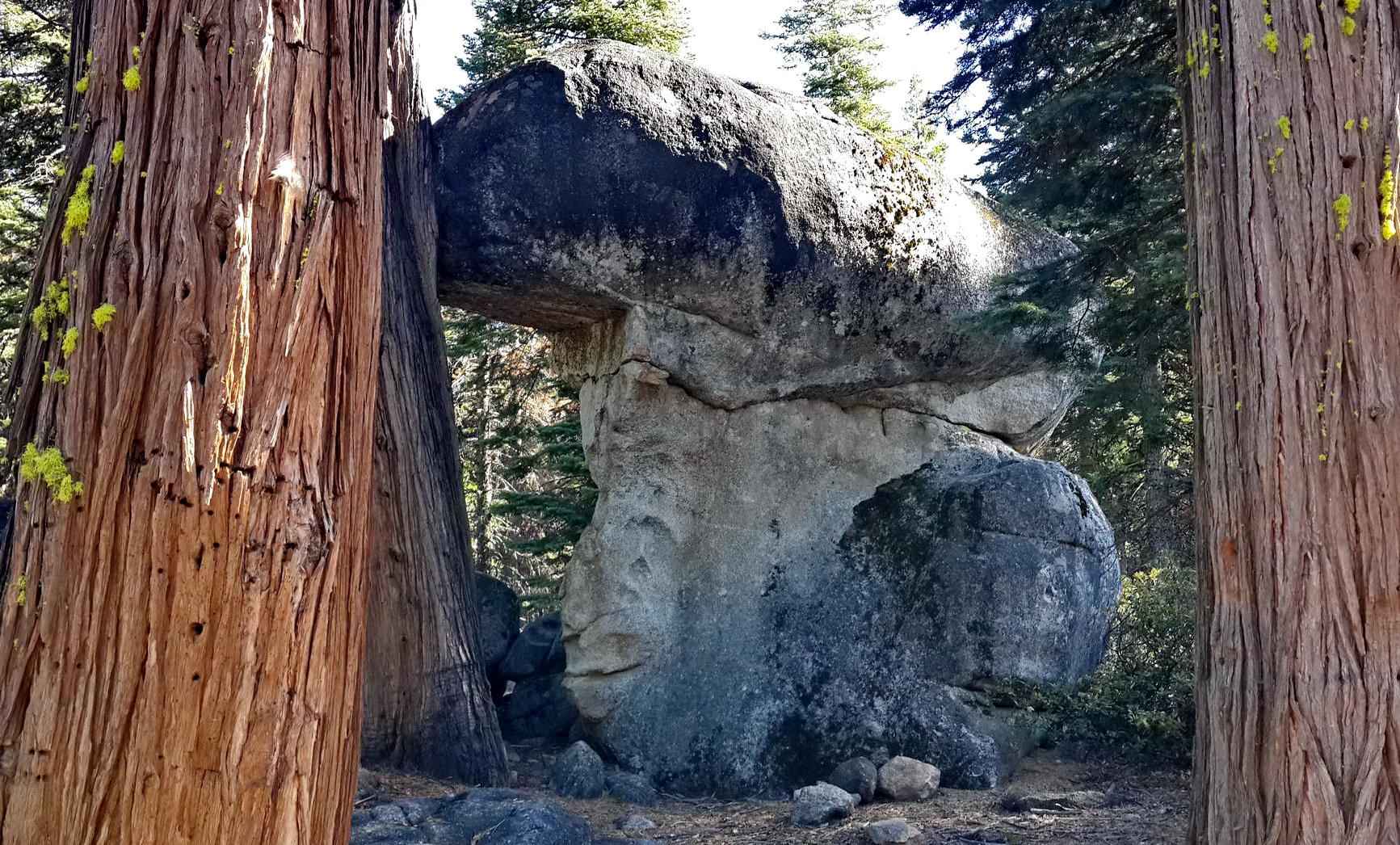 Massive rock formation framed by two large tree trunks in a forest.