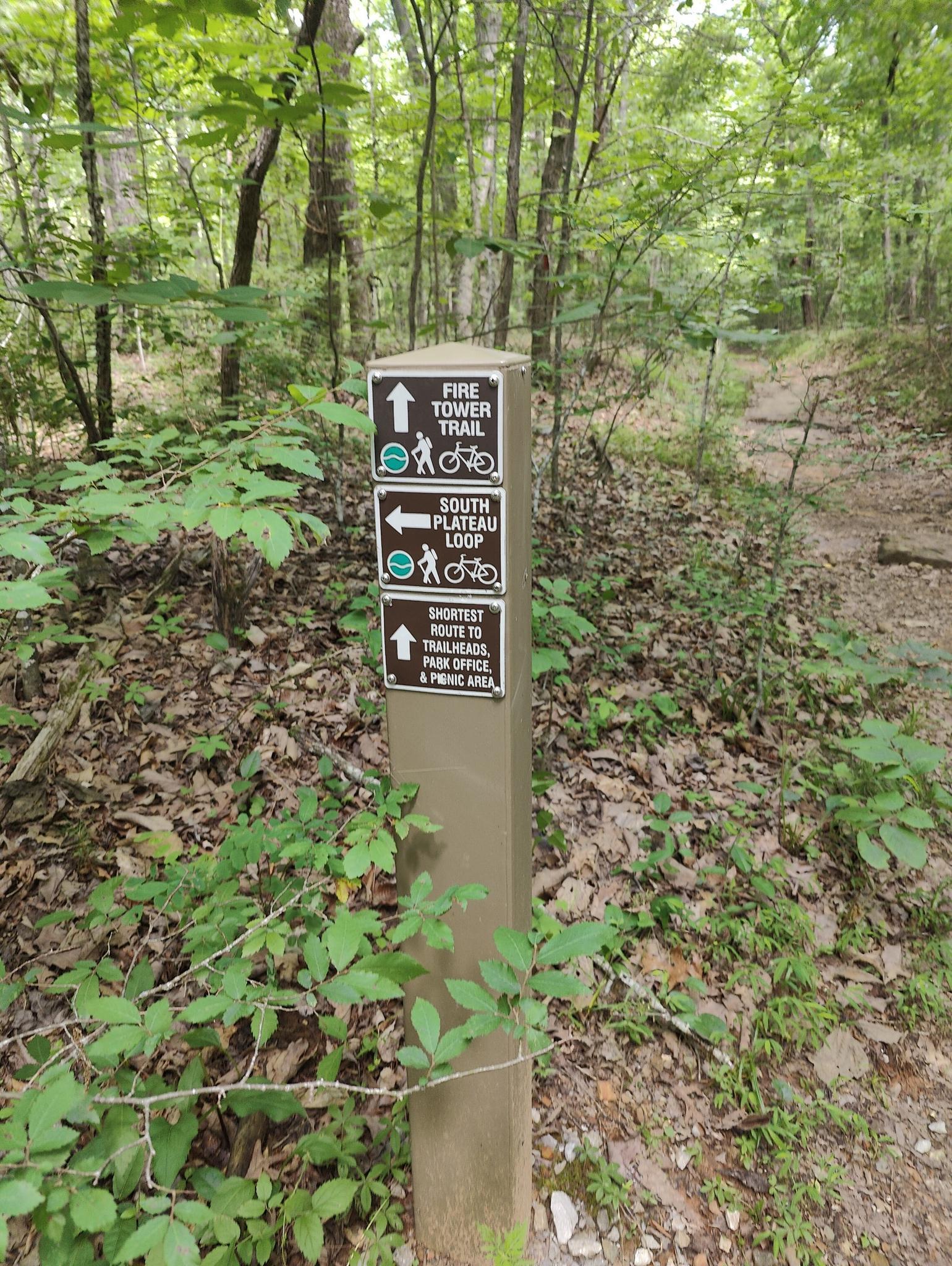 A trail marker post with directional signs in a green forest.
