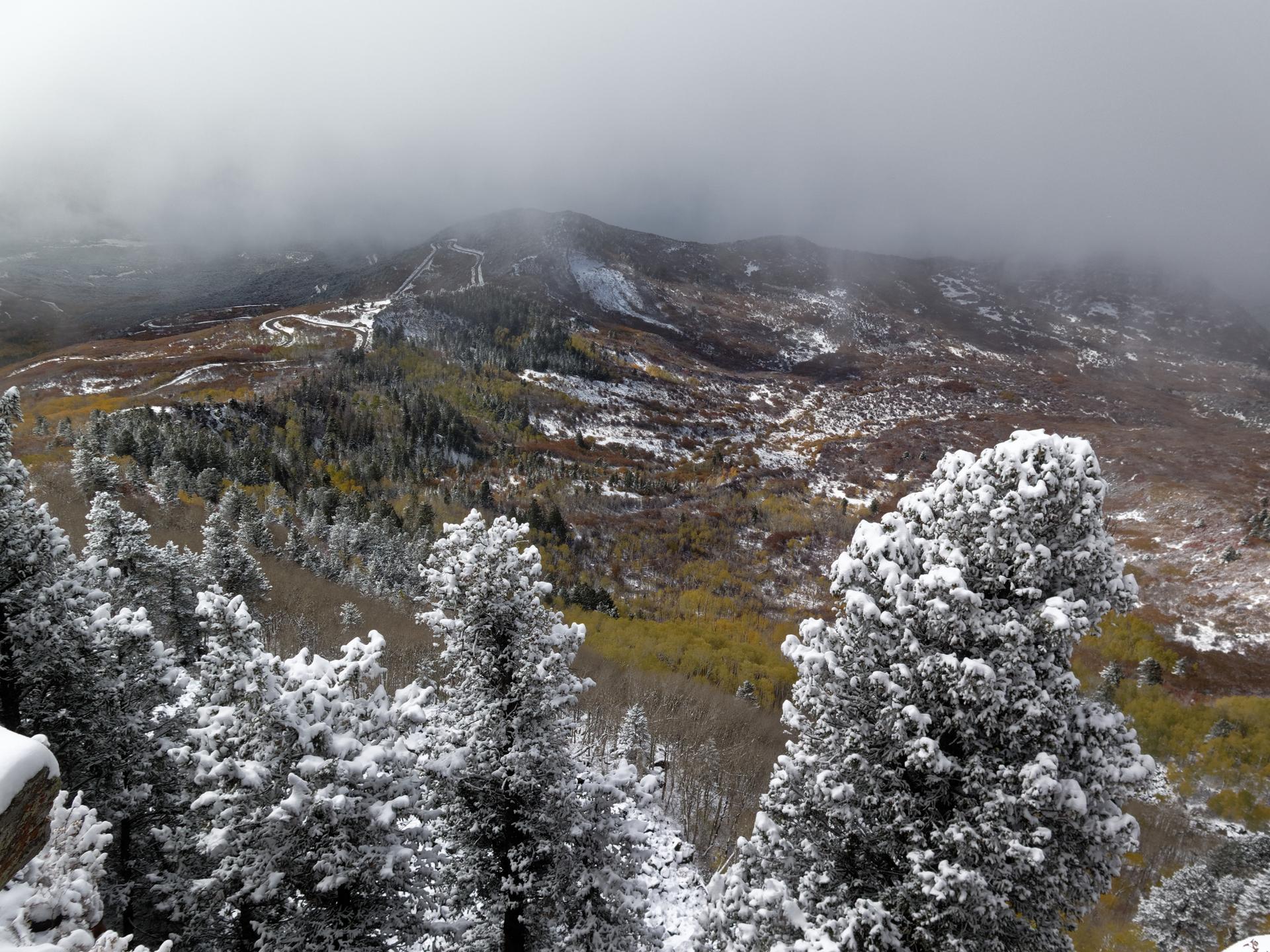 Snow-covered evergreen trees overlook a valley with autumn colors and misty mountains.