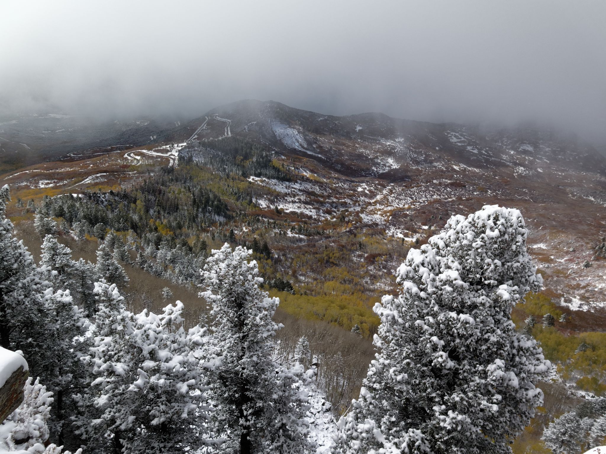 Snow-covered evergreen trees overlook a valley with autumn colors and misty mountains. - Lands End Road