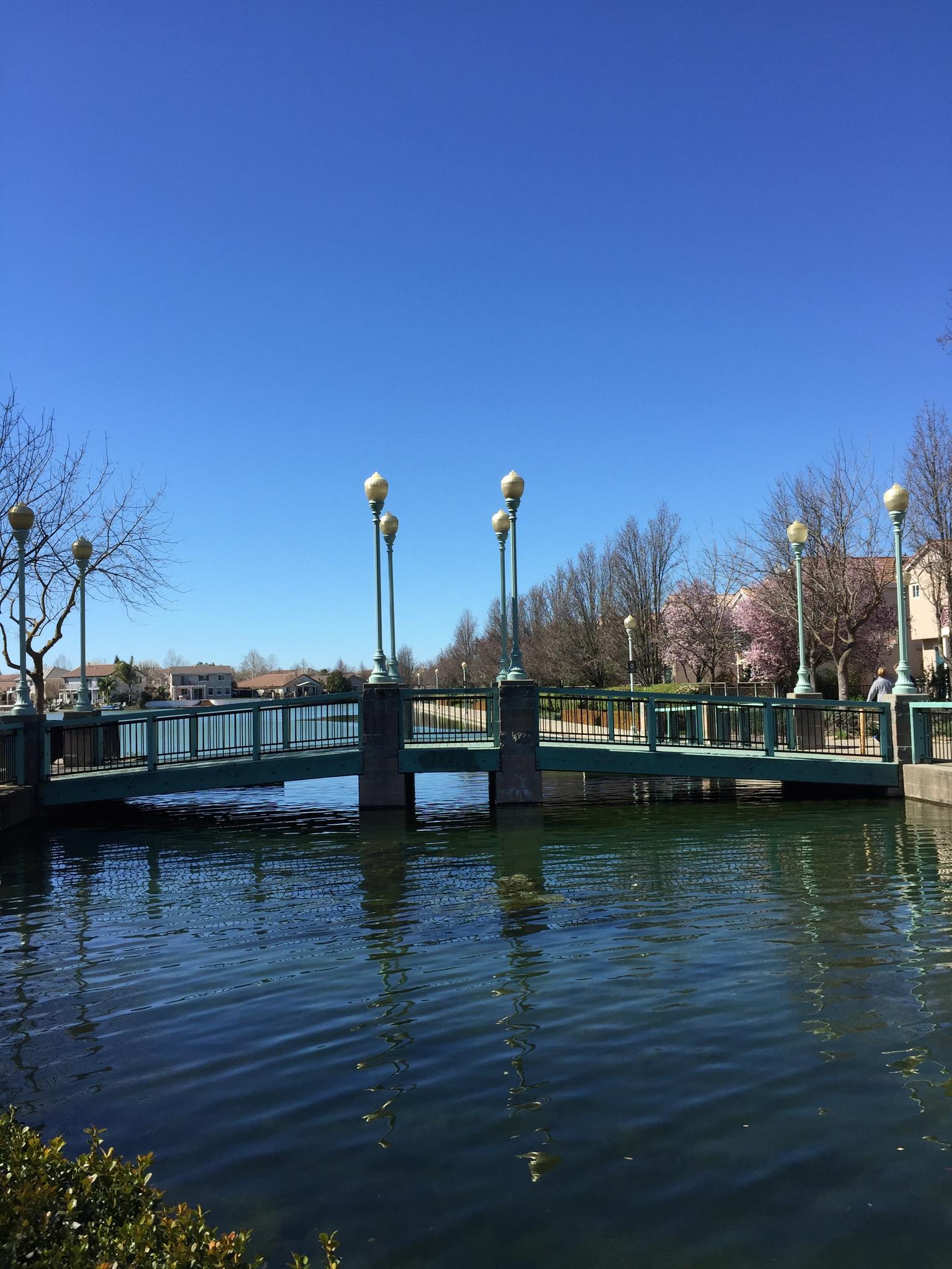 A green pedestrian bridge spans a canal on a bright day, with a person walking.