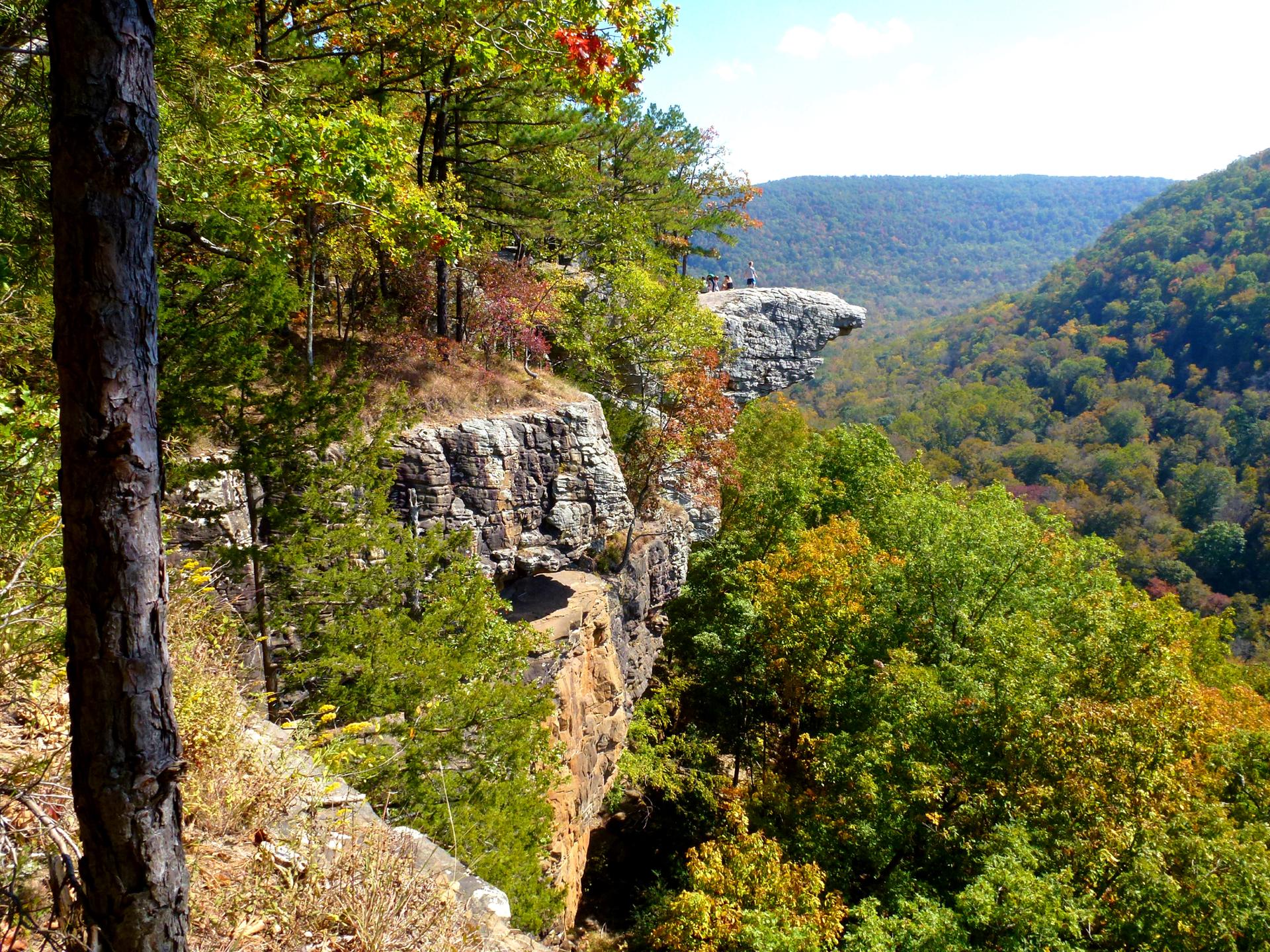 Sunny view of a rocky cliff overlooking a forested valley with distant people.