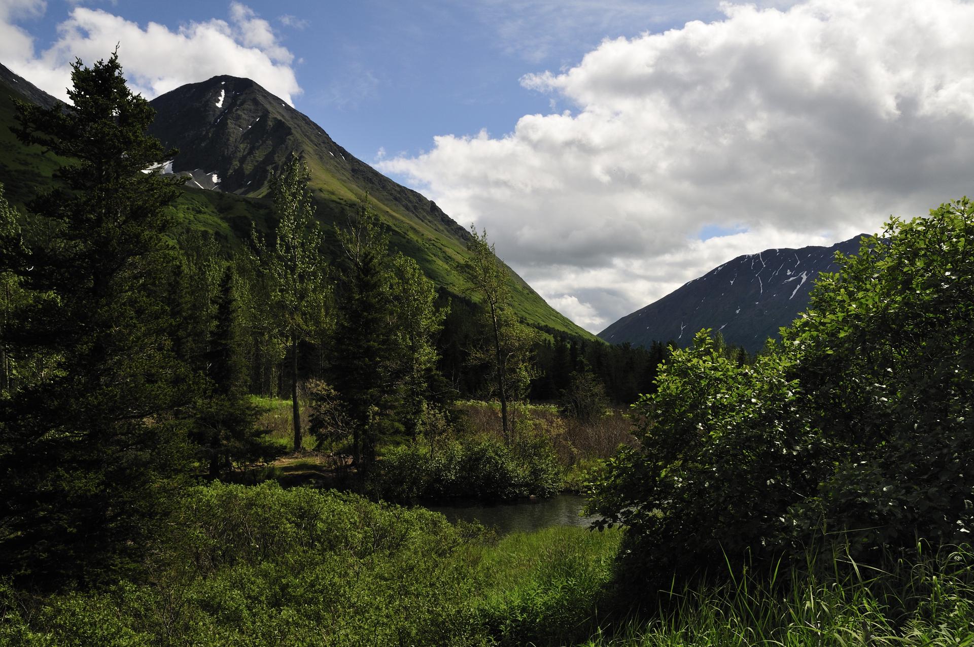 Lush green valley with forested mountains under a partly cloudy sky.