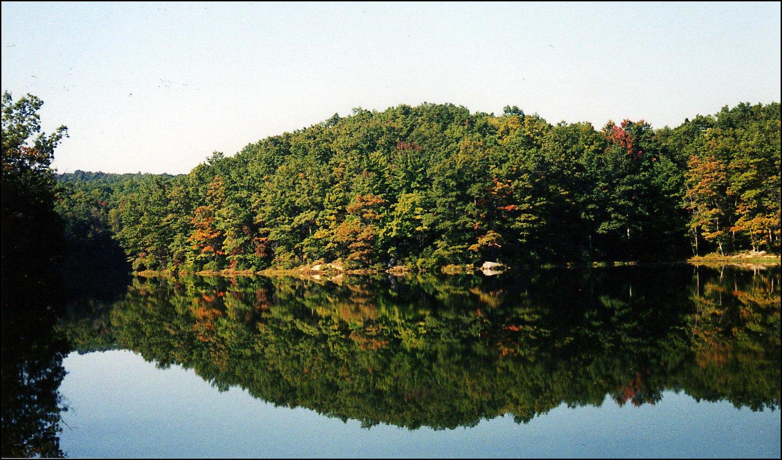 Serene lake reflecting a dense forest with early autumn foliage.