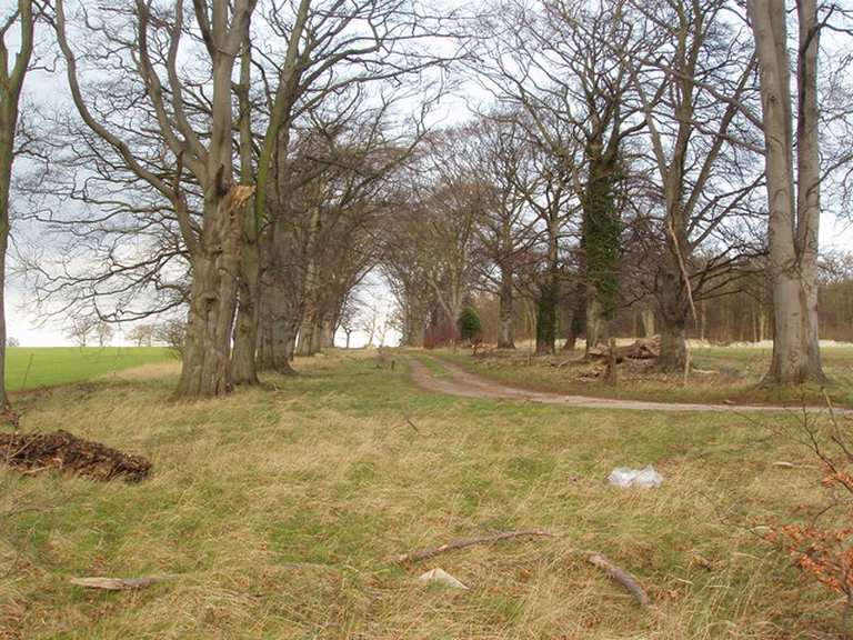 Wetherby Grange Park loop | hike | Komoot