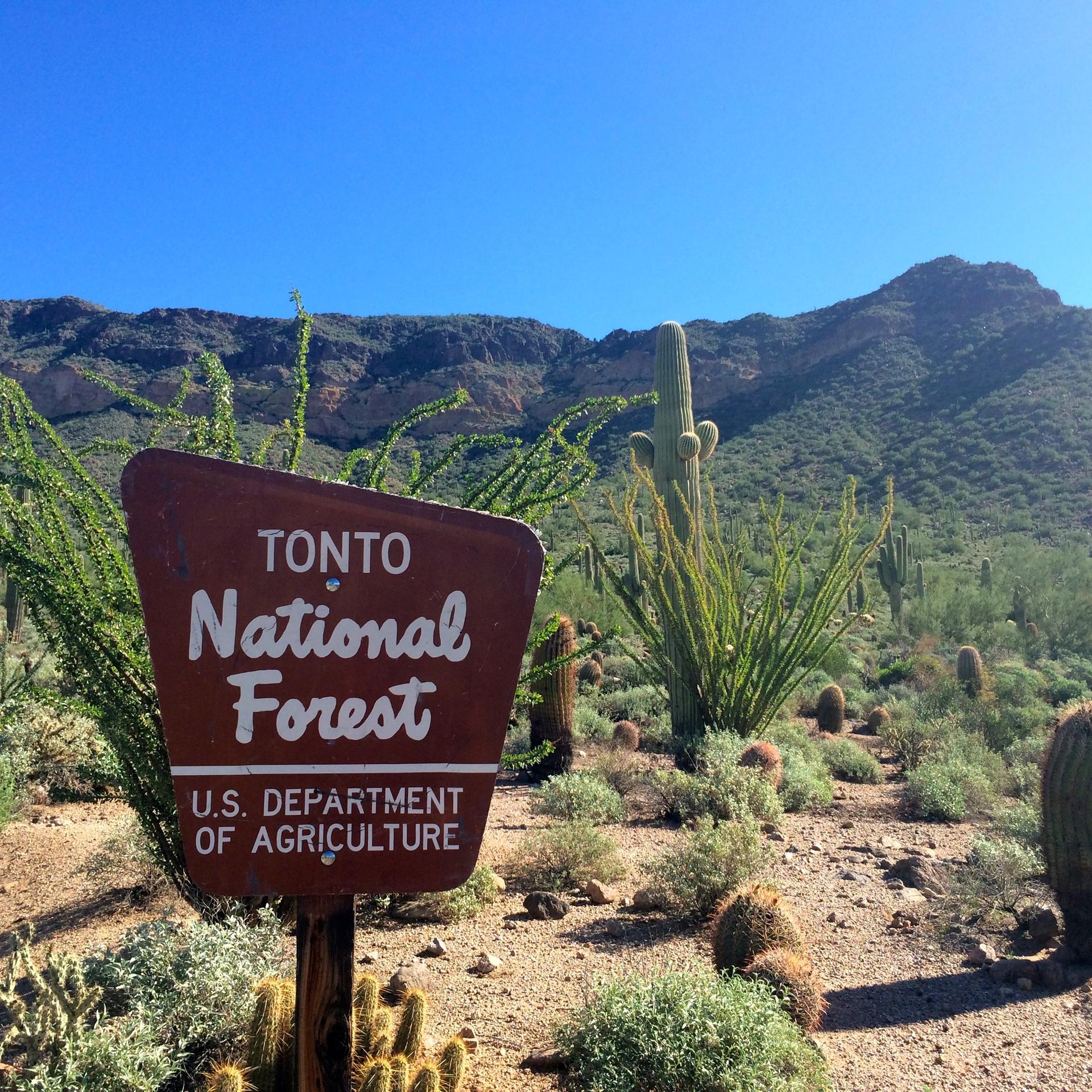 A brown sign stands in a desert landscape with saguaro cacti and mountains.