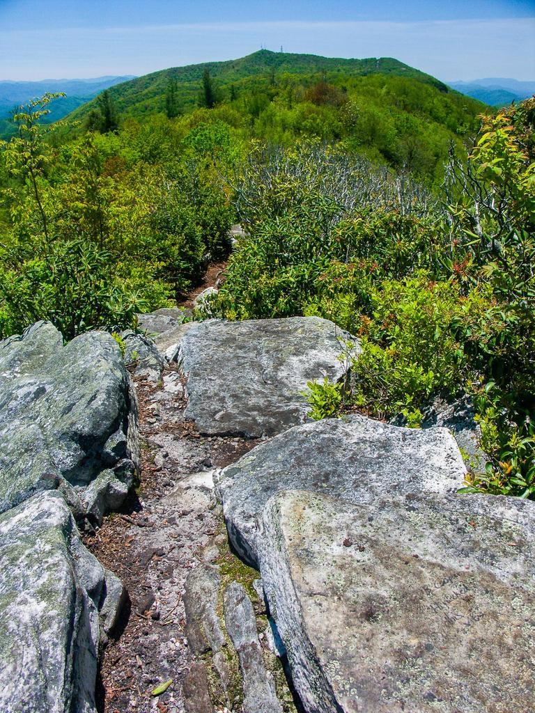Rocky path leading to a lush green mountain under a clear blue sky.