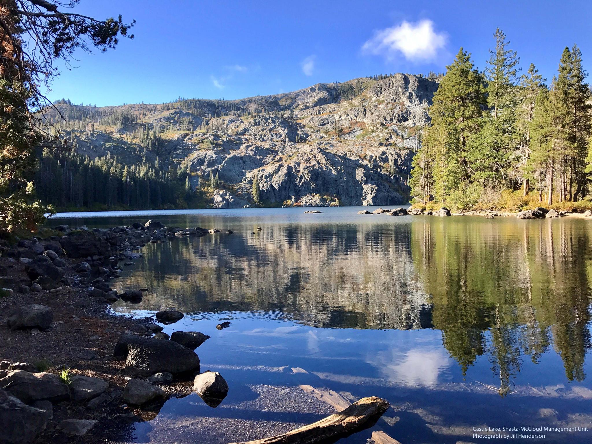 Calm lake reflecting mountains and trees, with a rocky shore on a bright day.