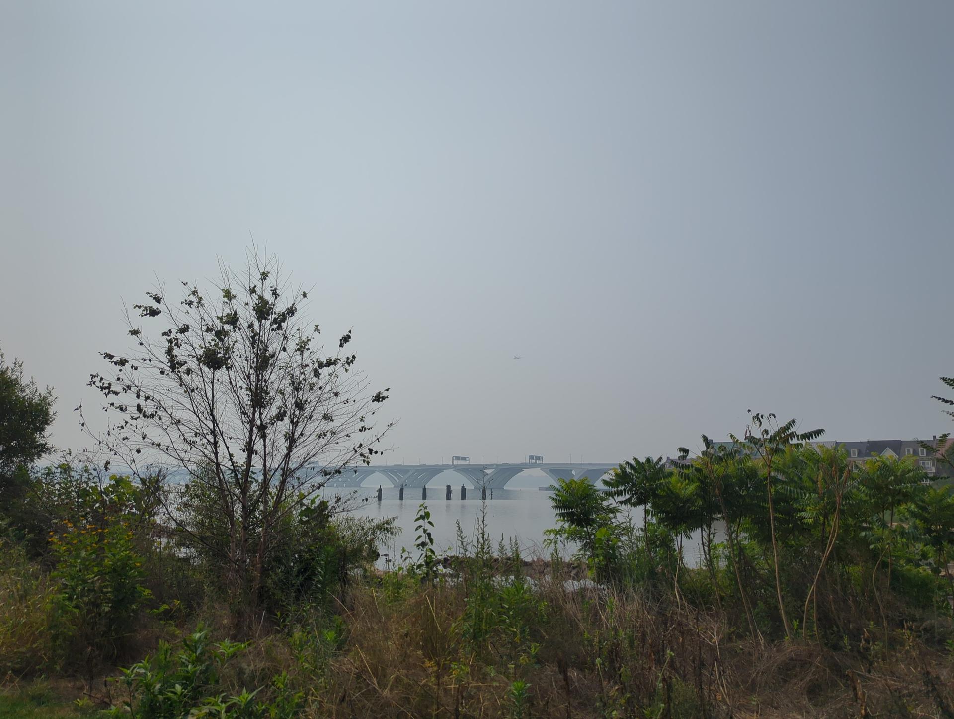 Distant bridge over water, sparse trees, under an overcast sky.