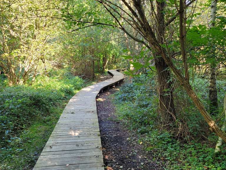 Pasarela en el Natuurreservaat De Spicht: Rutas de senderismo y ...