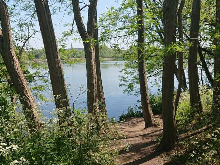Capital Ring — Brent Reservoir path - Routes for Walking and Hiking ...