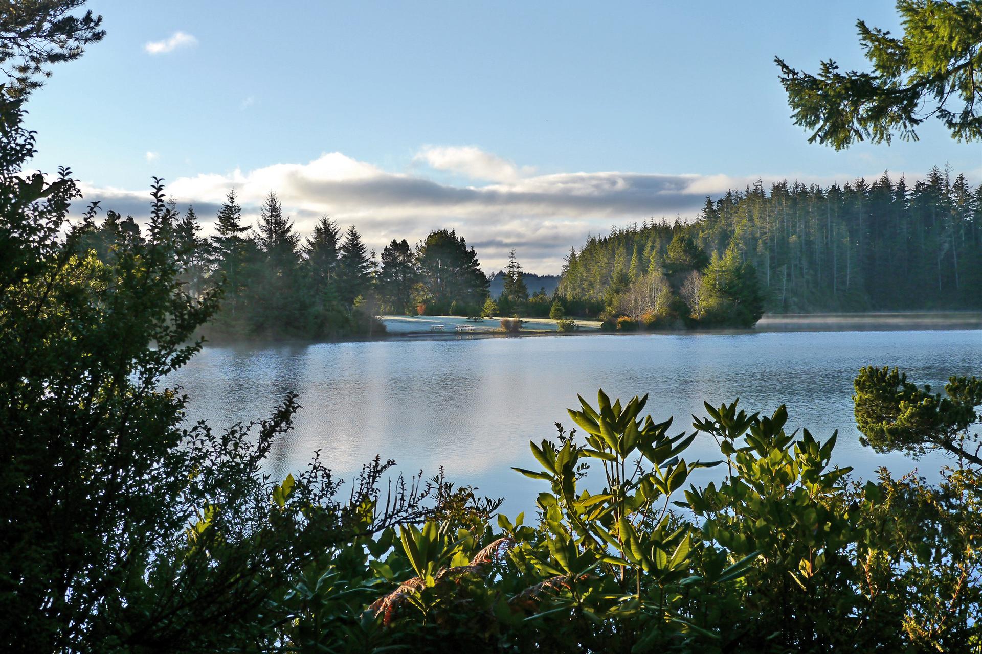Sunny morning view of a calm lake surrounded by dense evergreen forests.