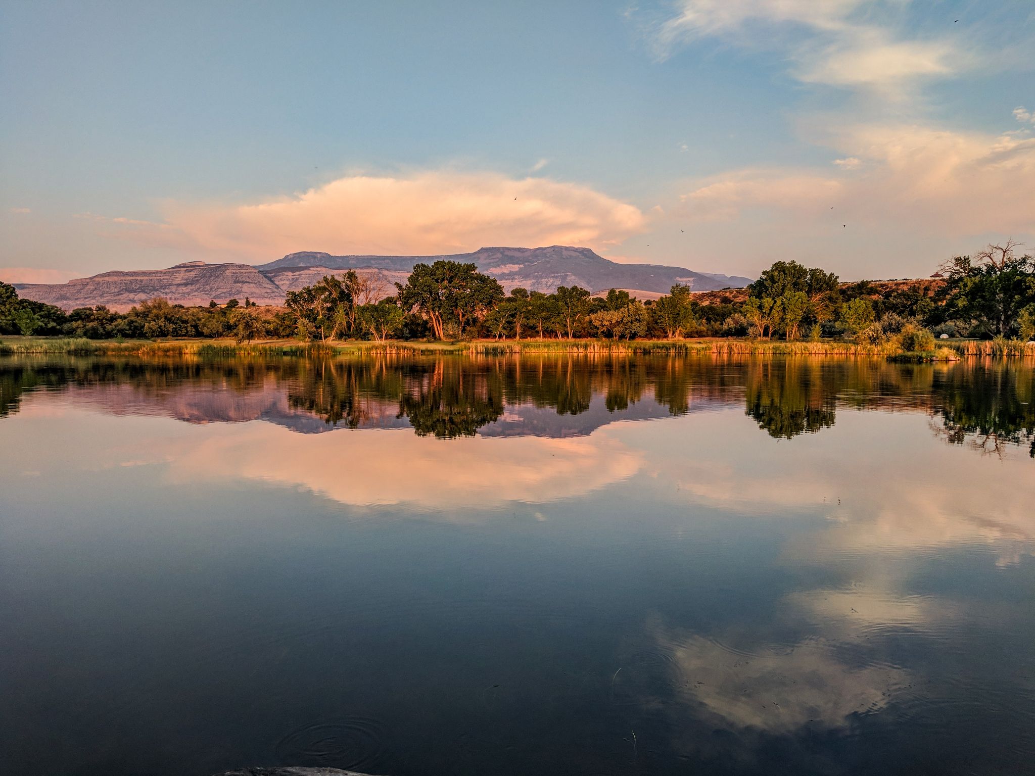 Calm lake reflecting mountains, trees, and clouds under a soft, warm sky. - Fruit and Wine Byway - East Orchard Loop