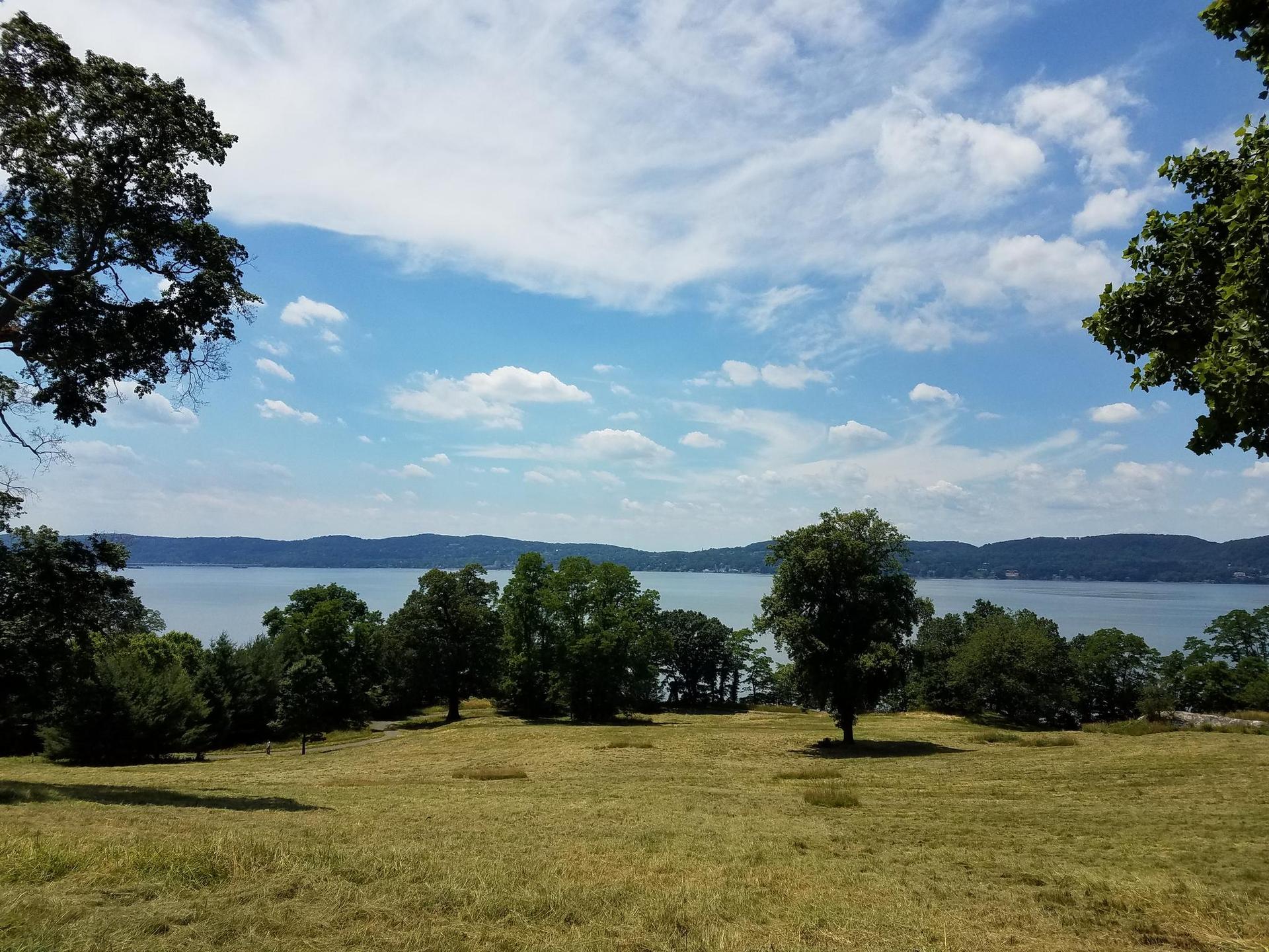 Grassy field with scattered trees overlooking a large body of water.