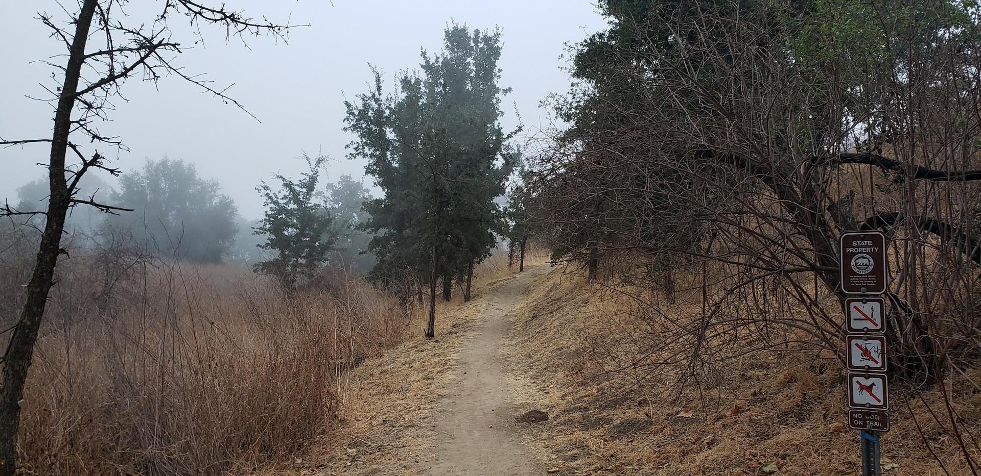 A dirt trail winds through a misty, wooded landscape with bare trees.