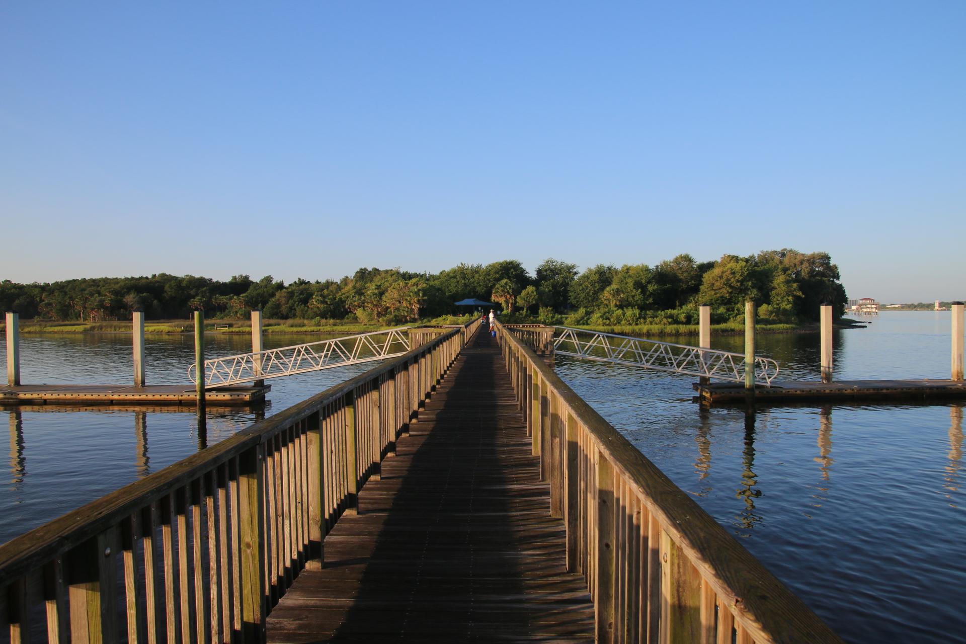Long wooden pier extending over calm water towards distant trees in daylight.