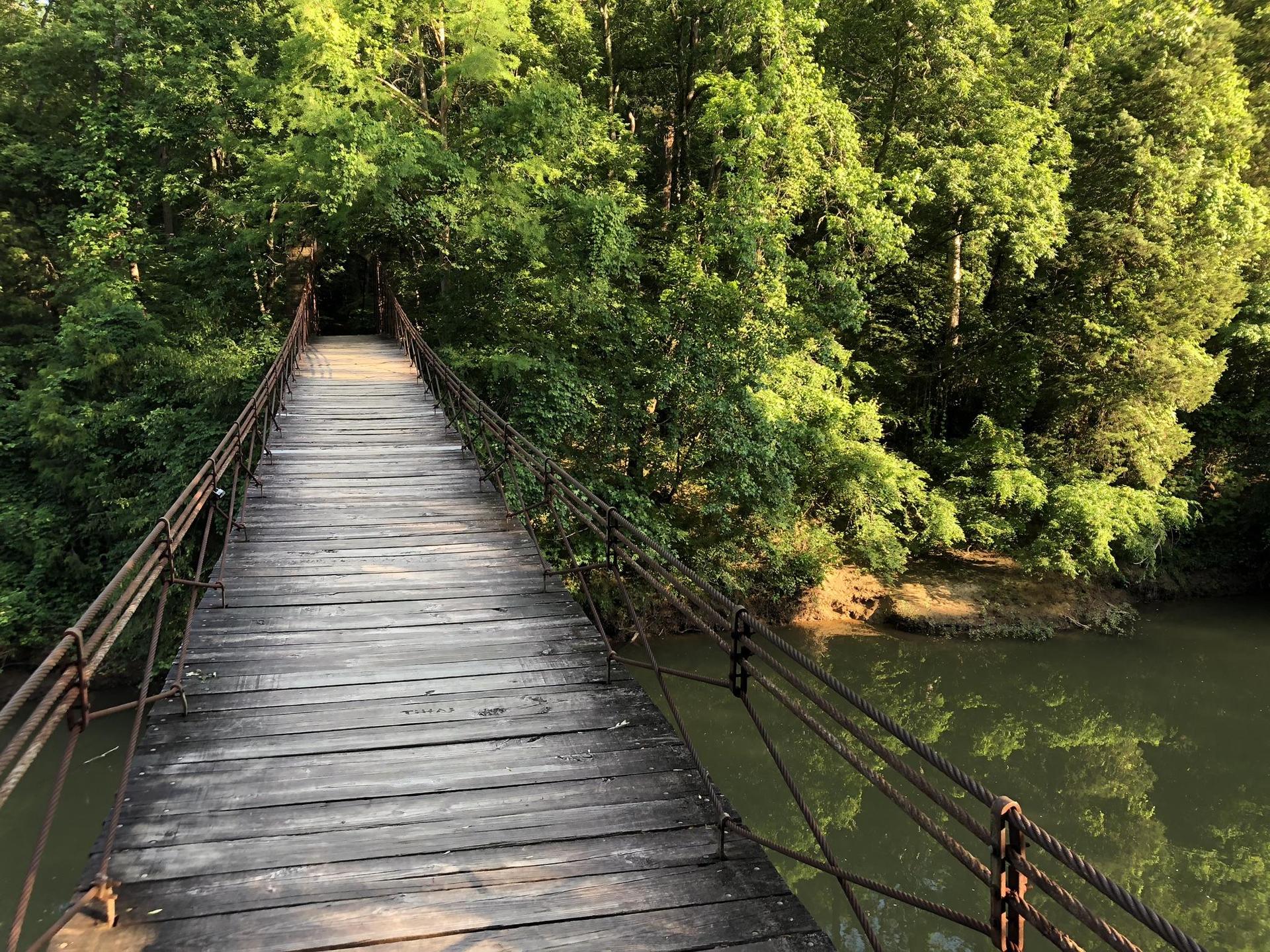 Wooden suspension bridge over water, surrounded by lush green trees, bright daylight.