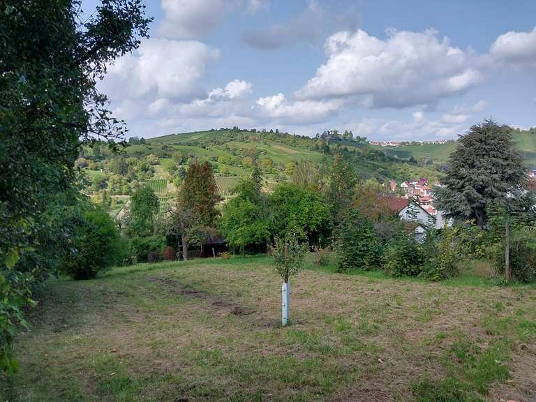 StuttgartUhlbach Wanderungen und Rundwege komoot