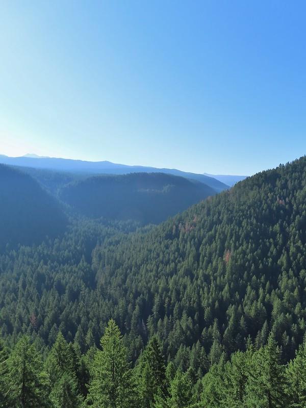 Dense evergreen forests cover a deep valley and distant mountains on a clear day.