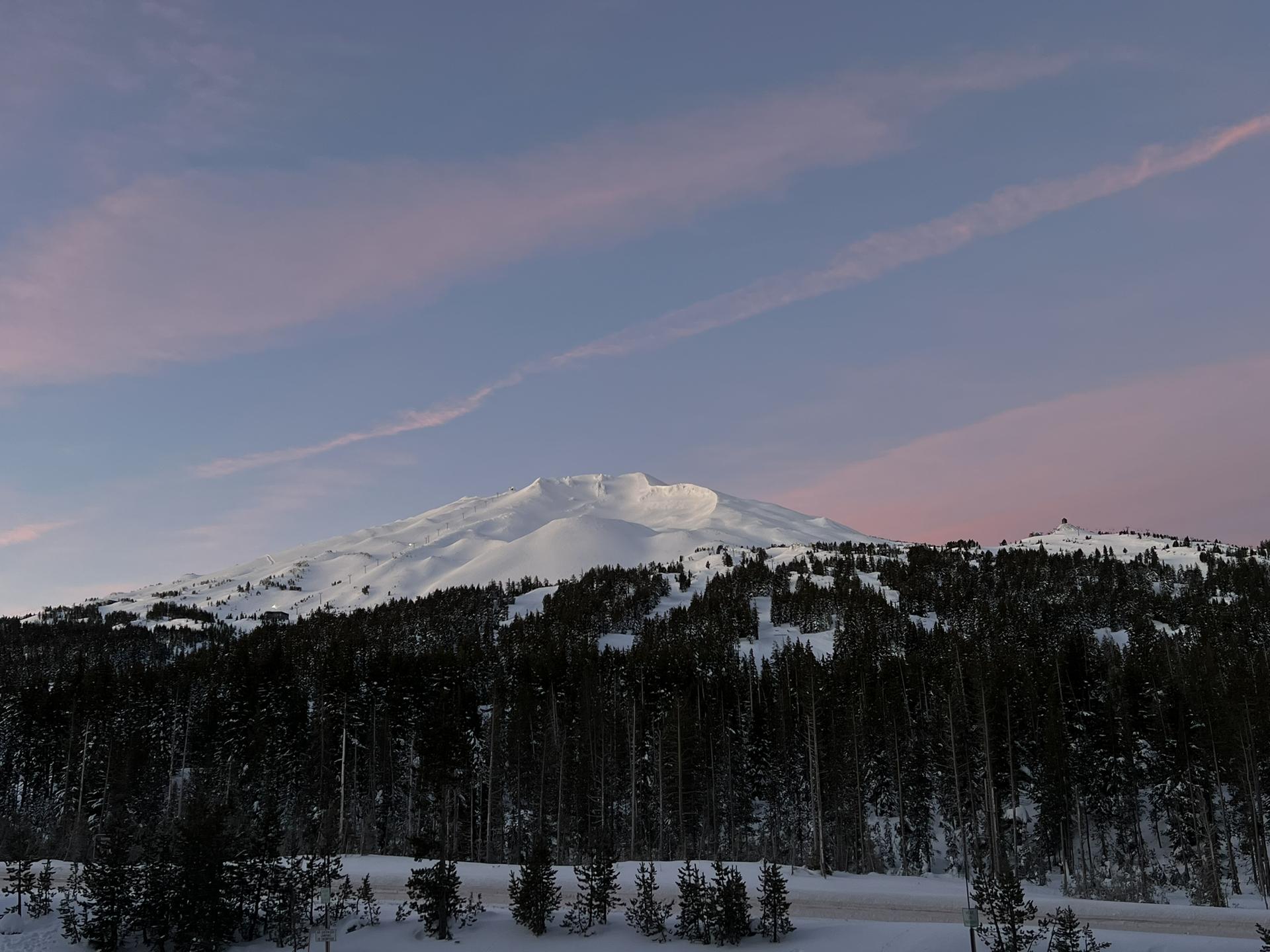 A snow-covered mountain rises above a dark forest at dusk.
