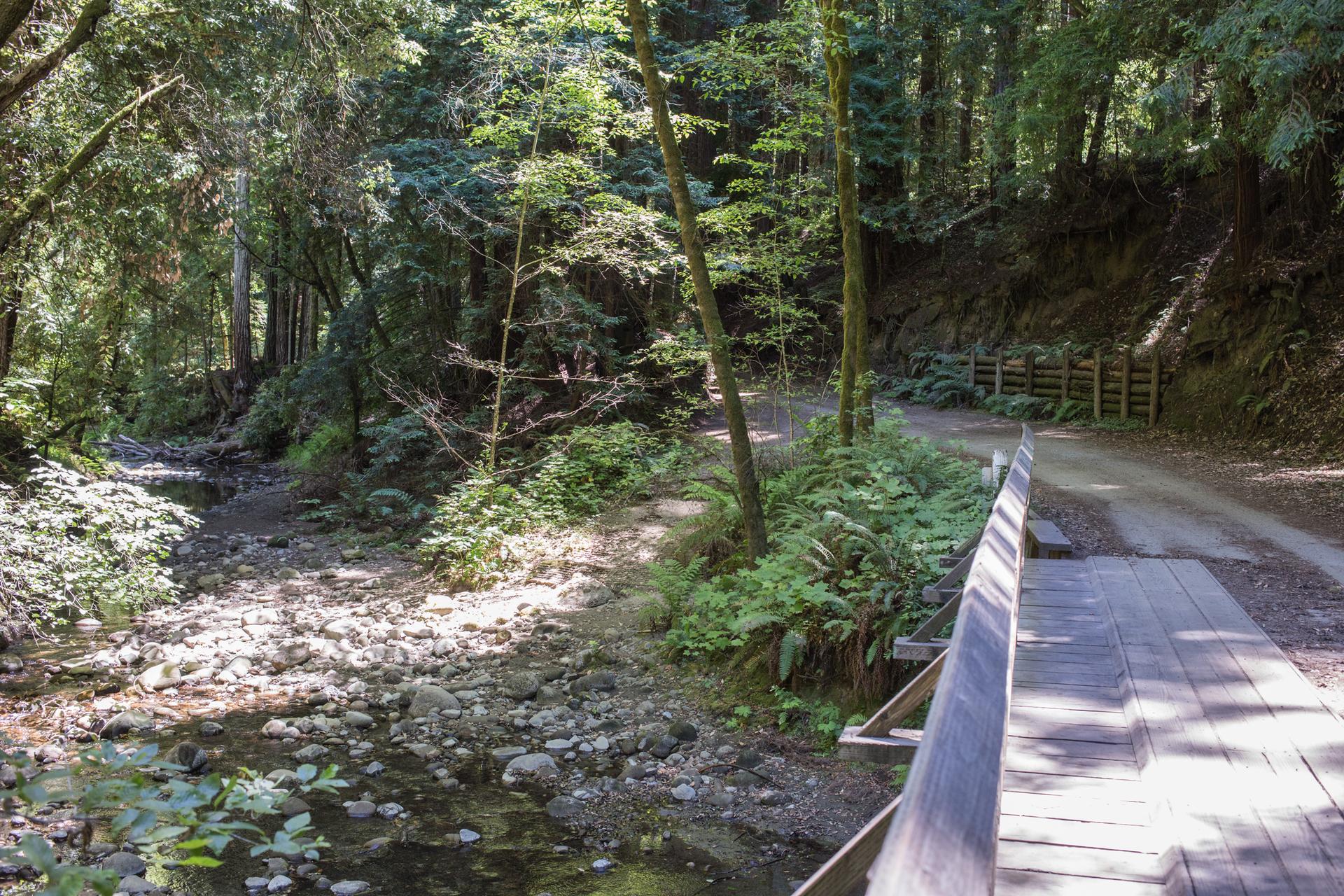 A wooden bridge crosses a rocky stream in a lush forest.