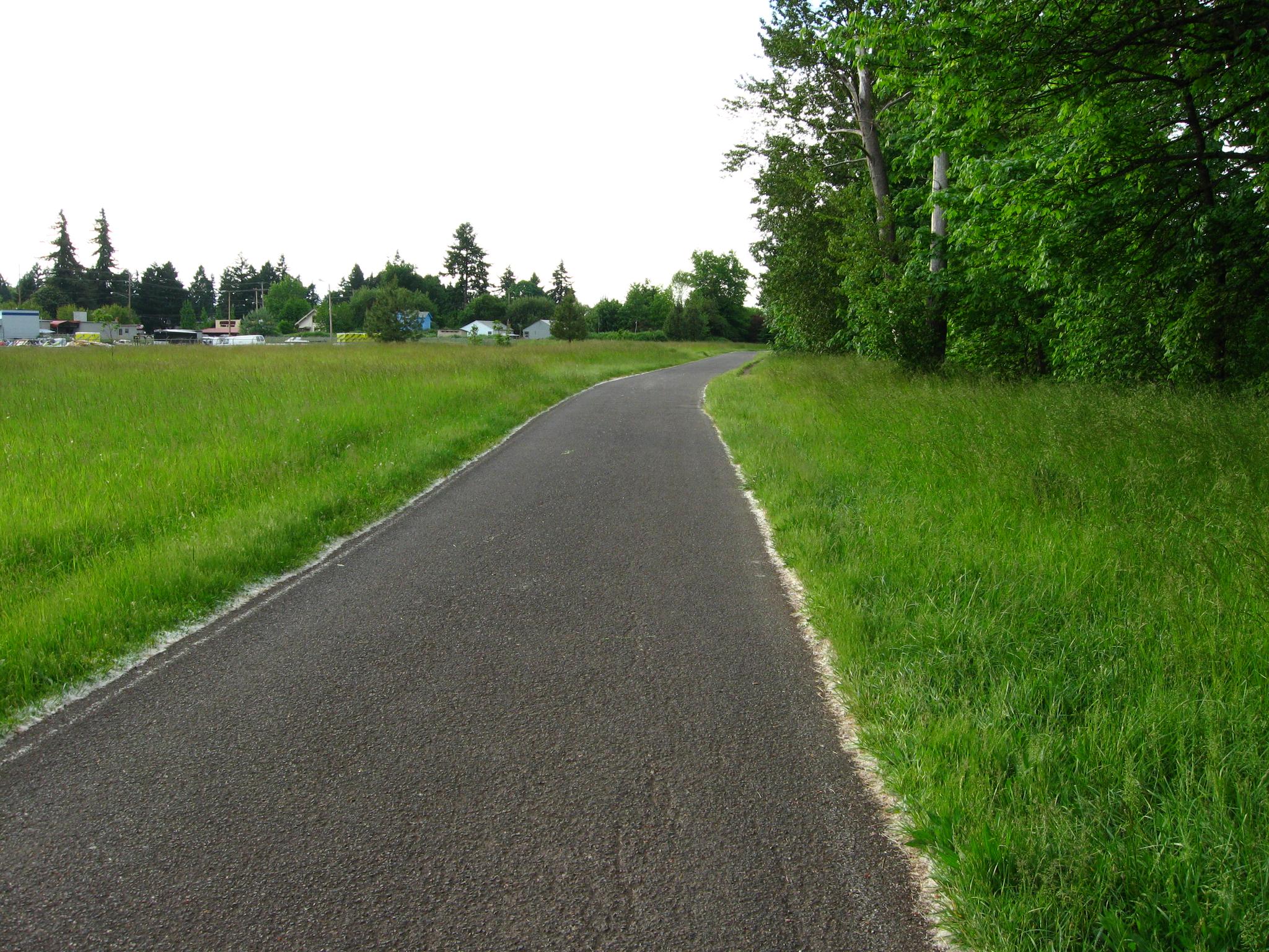 Paved path through bright green grass, bordered by trees under a bright sky.