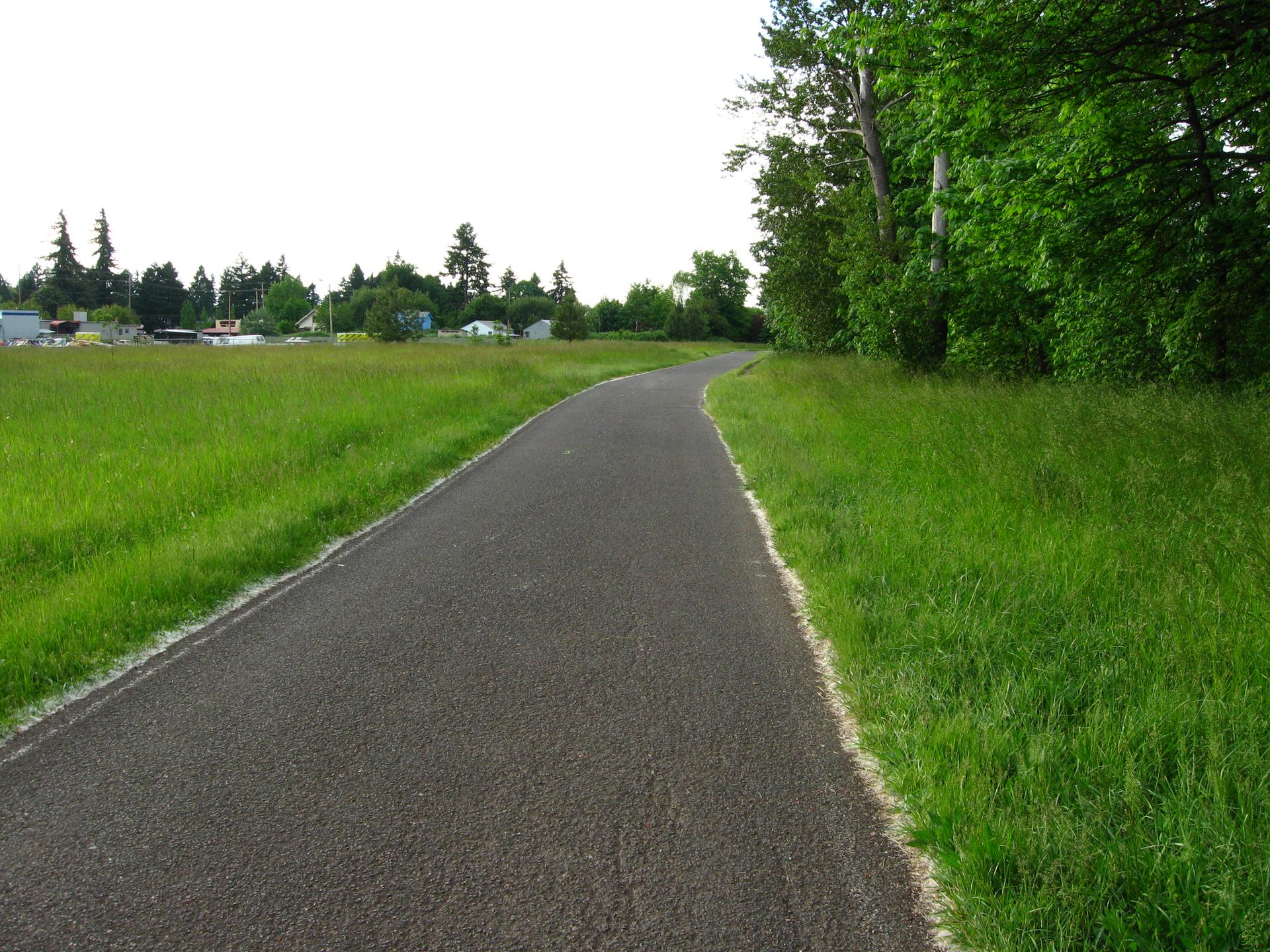 Paved path through bright green grass, bordered by trees under a bright sky.