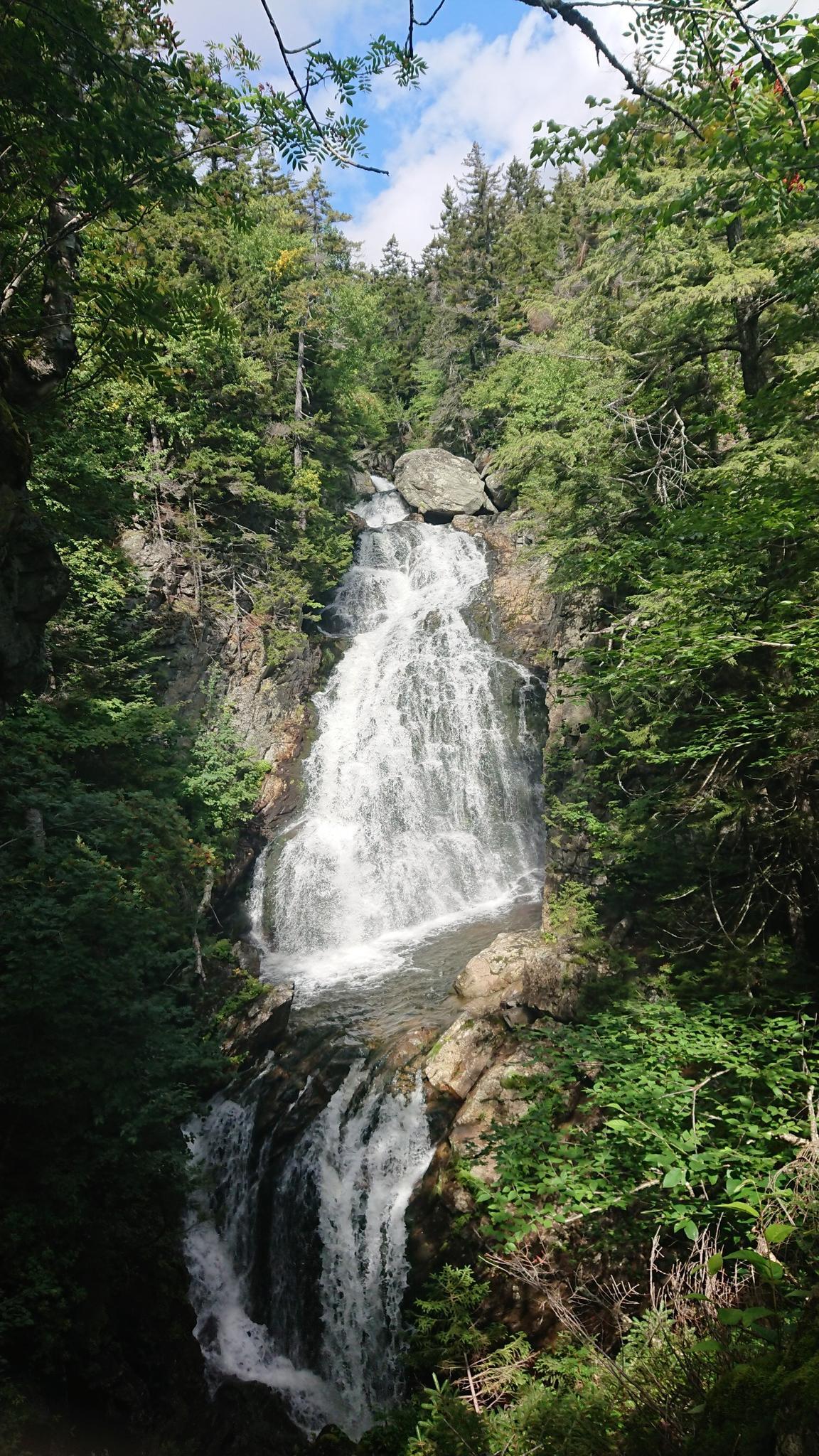 Tall waterfall cascades through a lush green forest under bright sunlight.