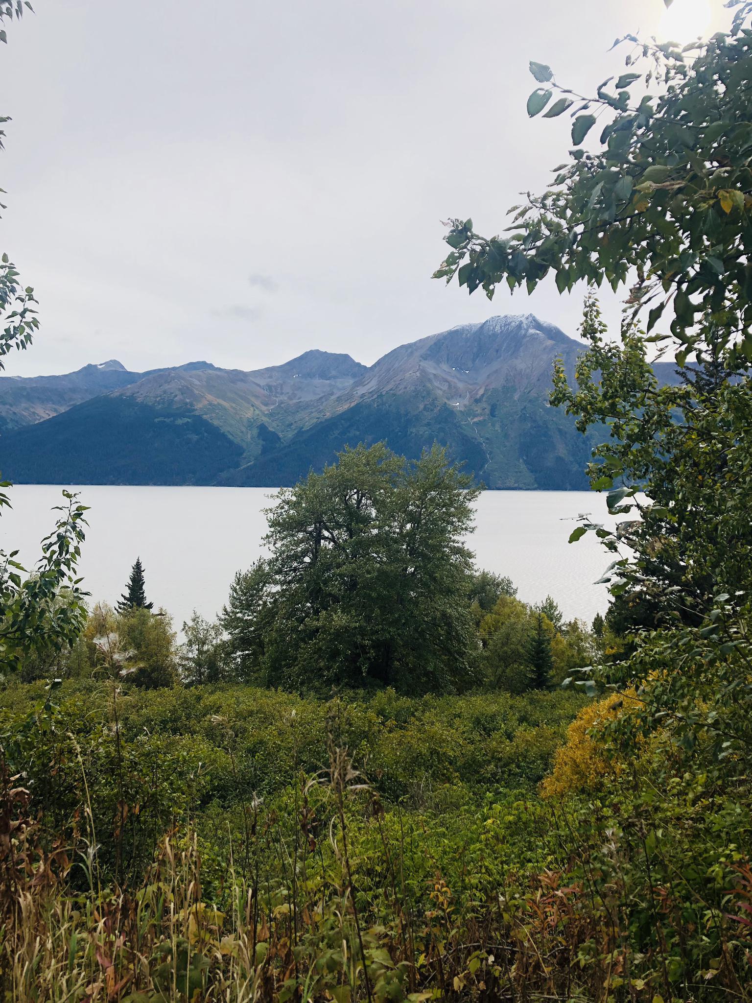 Overcast view of a large lake with distant mountains and lush green foliage.