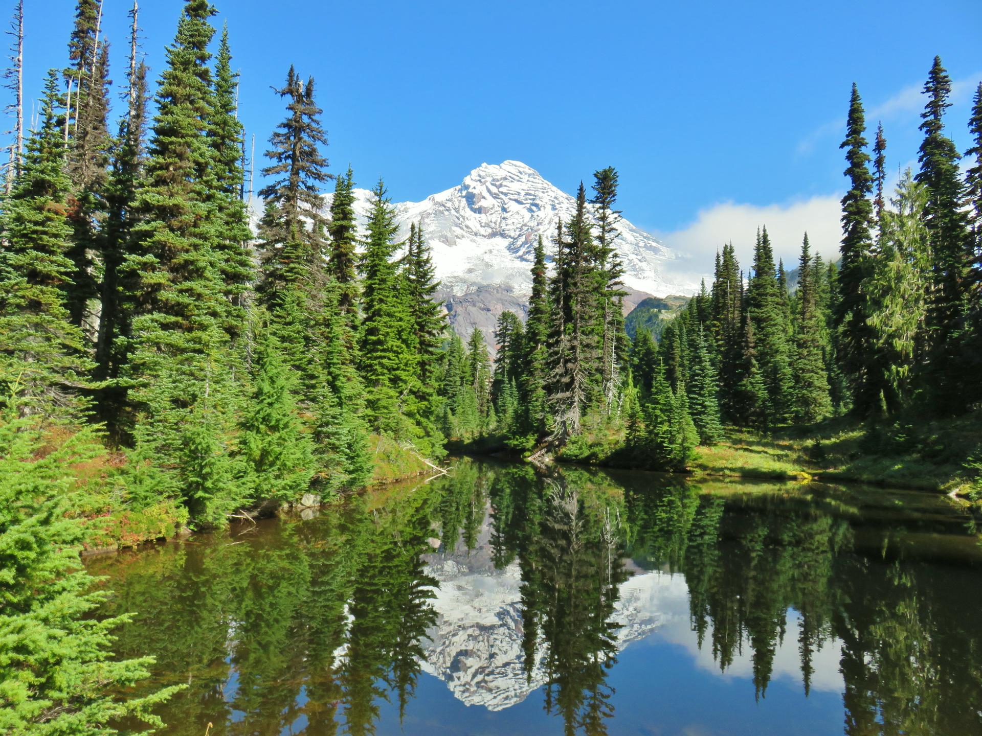 Snow-capped mountain reflects in a calm lake, surrounded by dense evergreen forest.