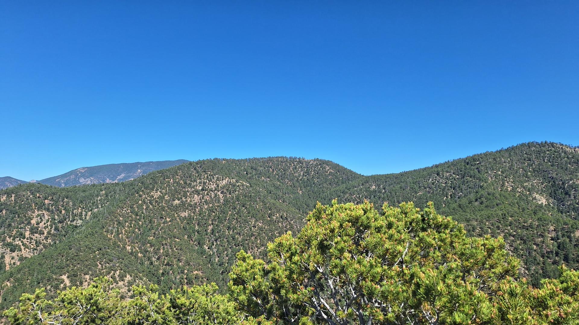 Green, forested mountains under a clear blue sky.