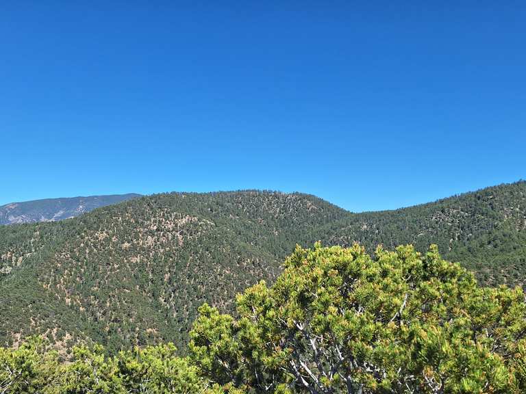 Dale Ball Trails | hike | Komoot