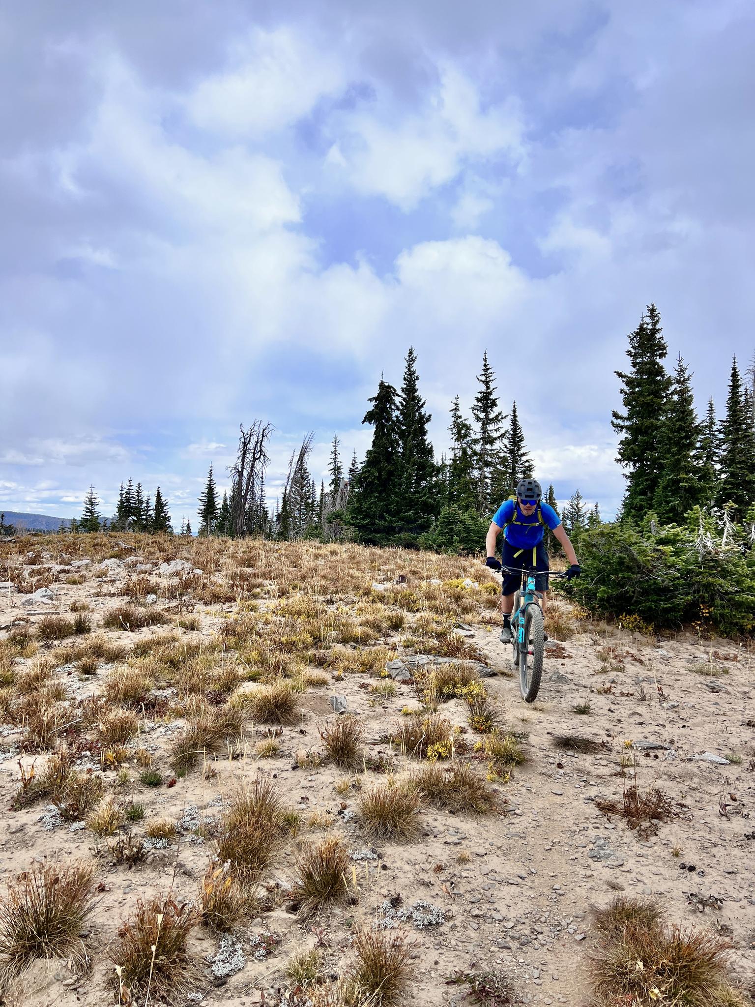 Mountain biker rides a dirt path through an open, grassy landscape.
