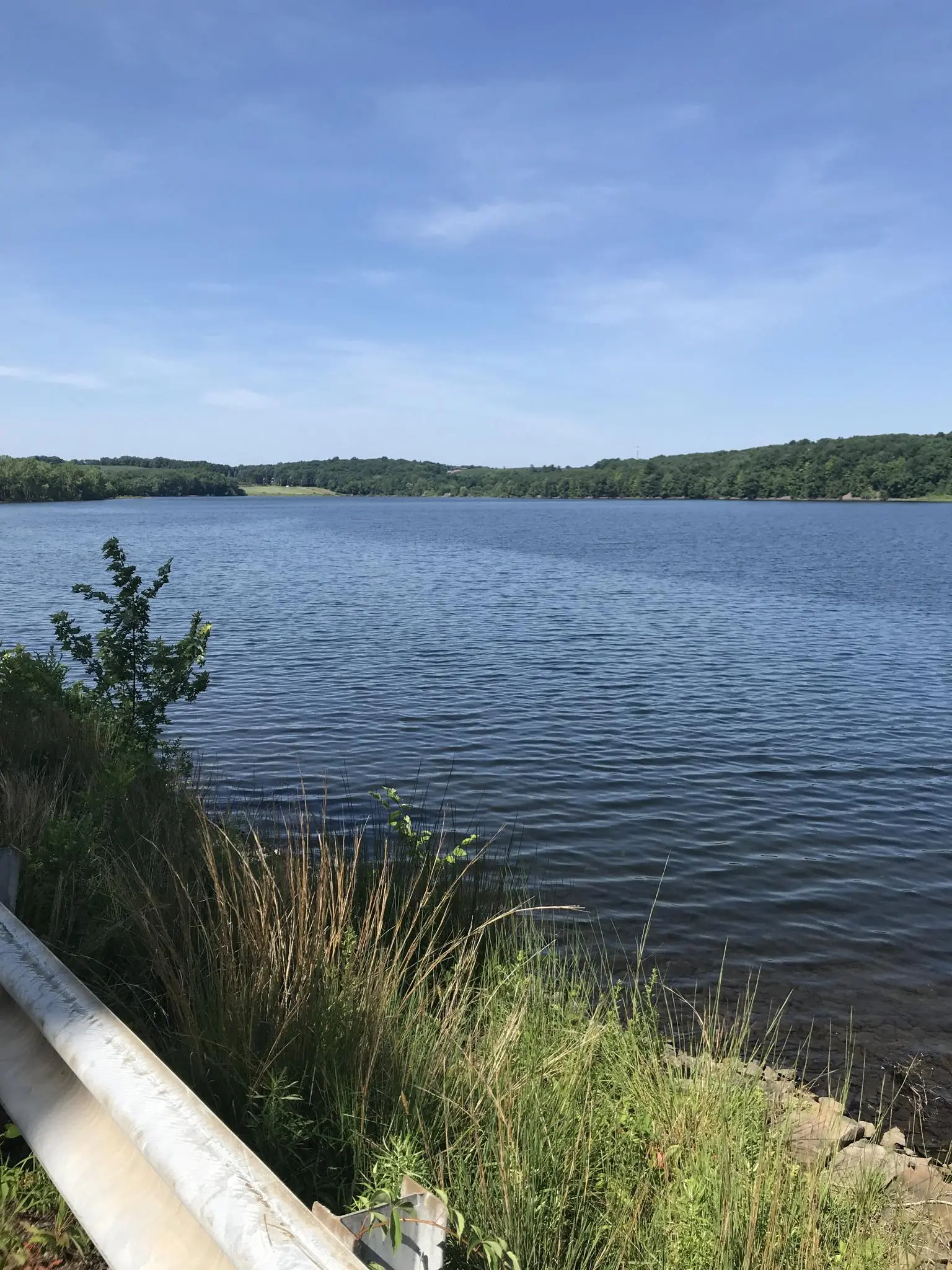 Wide blue lake surrounded by green hills under a clear sky.