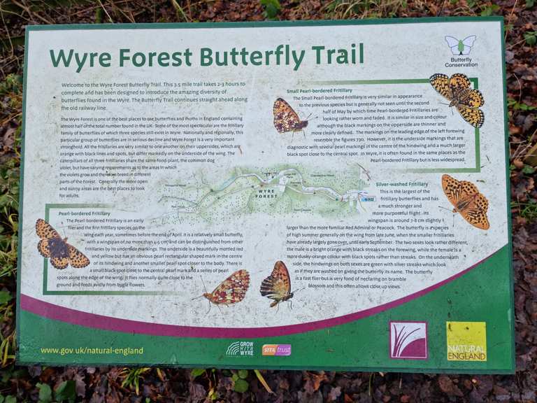 Part of the Wyre Forest Butterfly Trail: Wanderungen und Rundwege | komoot