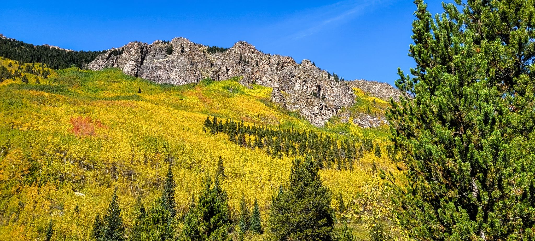 Rocky mountain cliffs overlook a vibrant hillside of golden and green trees. - Abyss Trail to Helms Lake