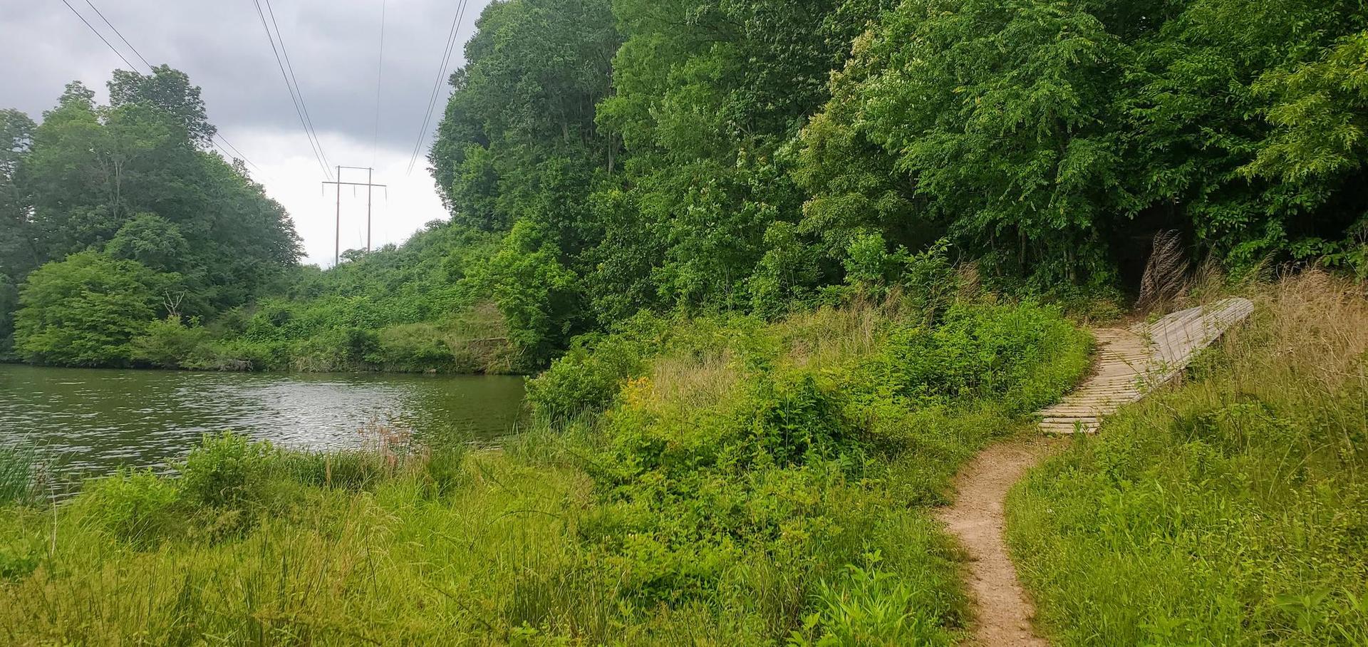 A dirt path winds alongside a calm lake surrounded by lush green trees.