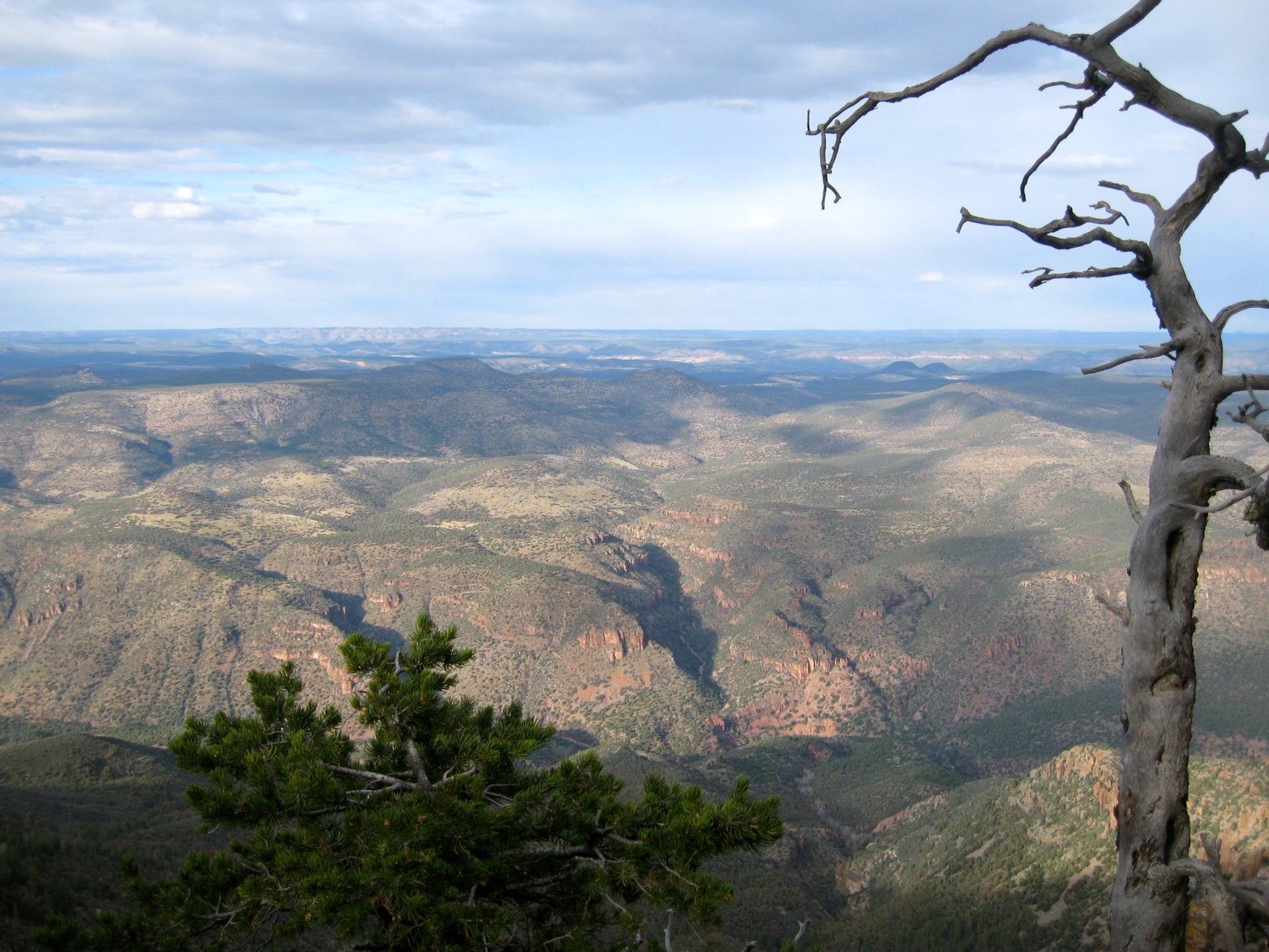 Vast mountainous landscape under cloudy sky, with dead tree in foreground.